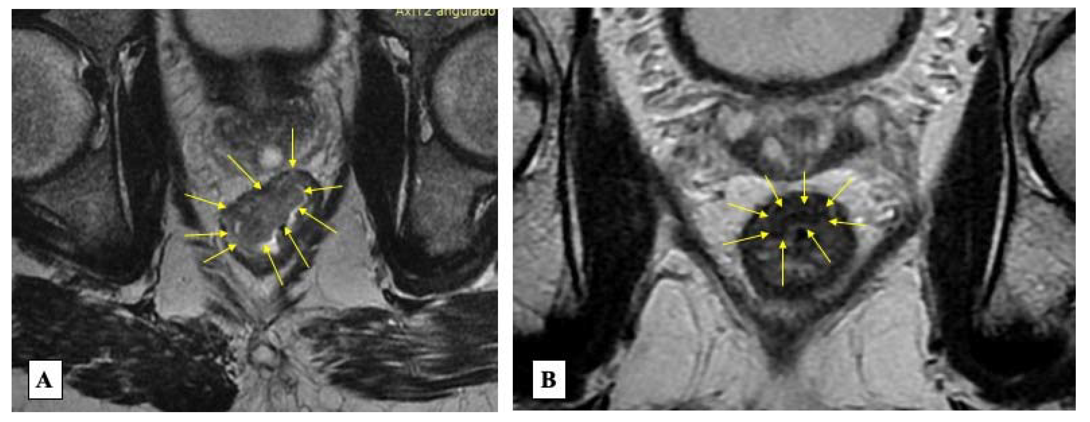 Jcm 12 02873 g003 Jcm 12 02873 g003