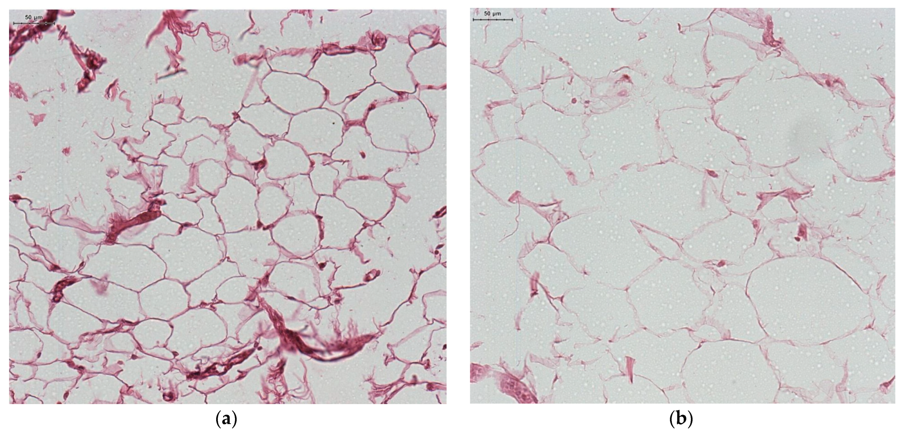Jcm 12 02885 g002 Jcm 12 02885 g002