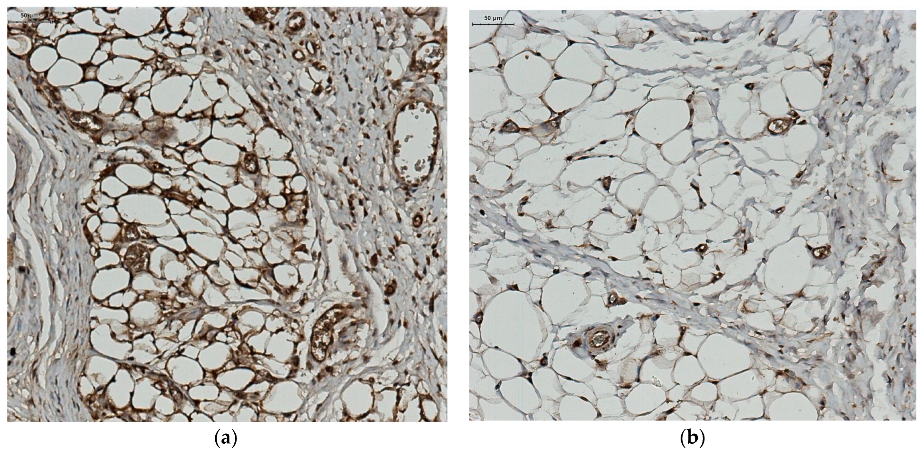 Jcm 12 02885 g004 Jcm 12 02885 g004