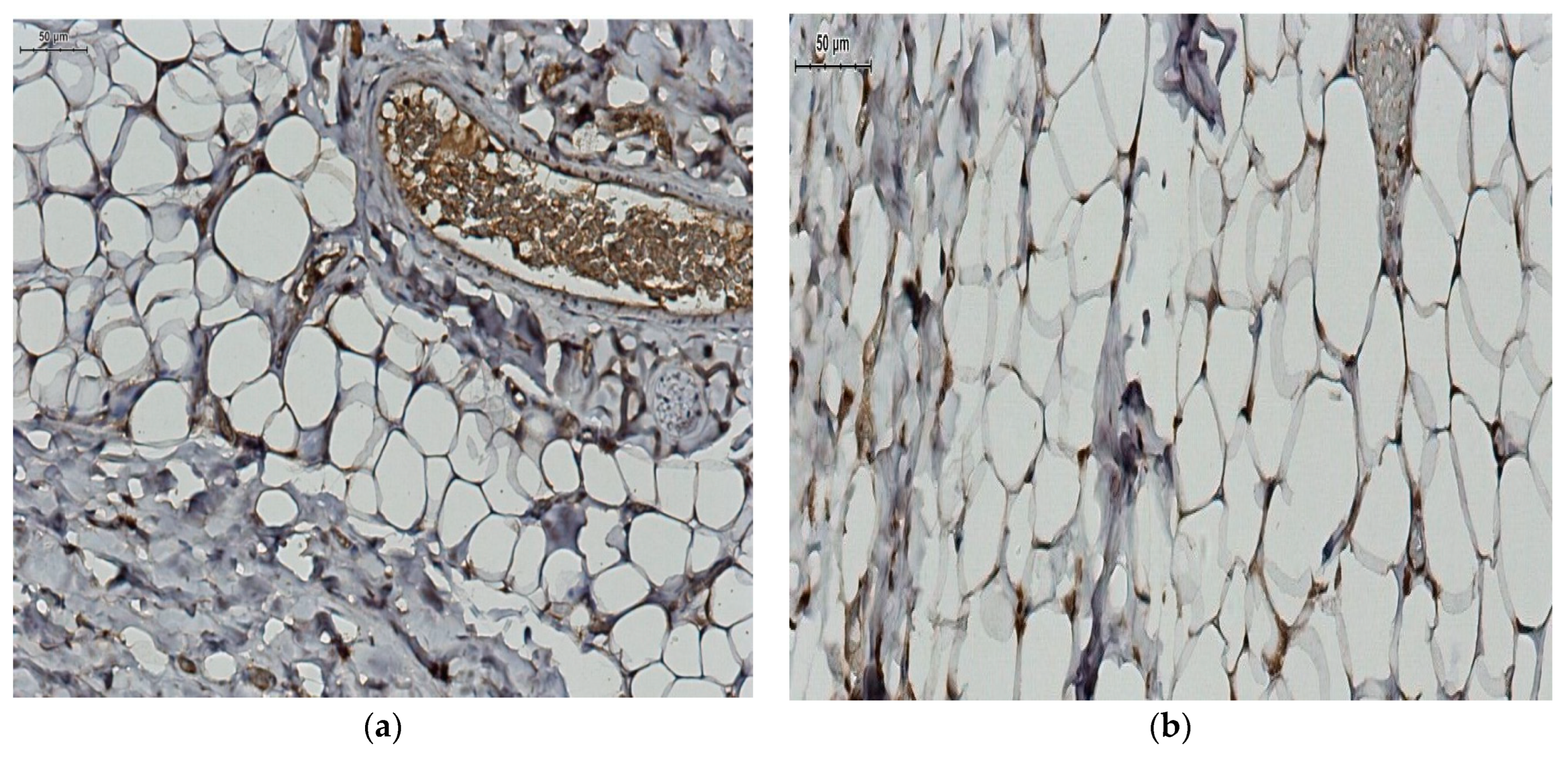 Jcm 12 02885 g005 Jcm 12 02885 g005