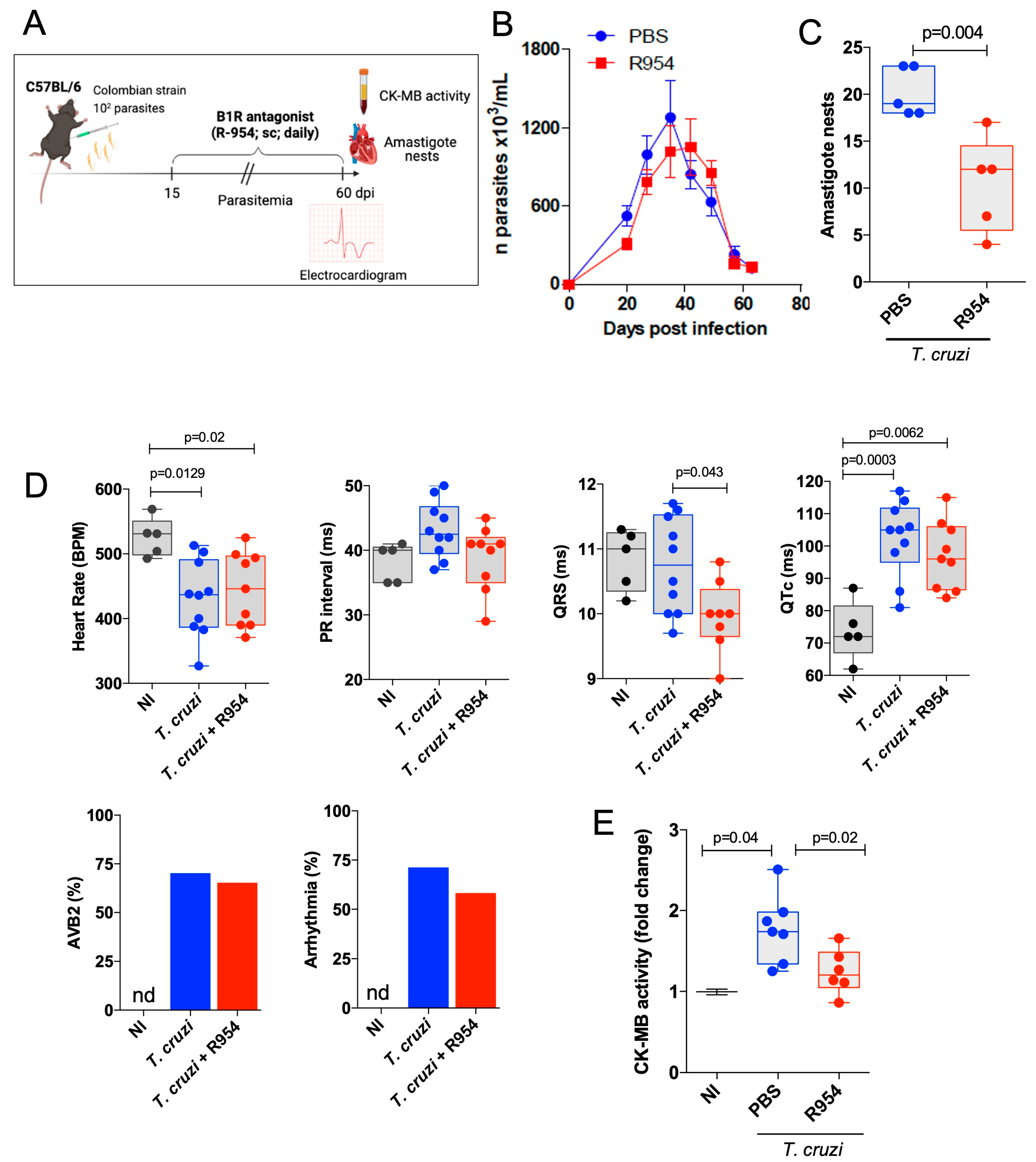 Jcm 12 02888 g003 Jcm 12 02888 g003