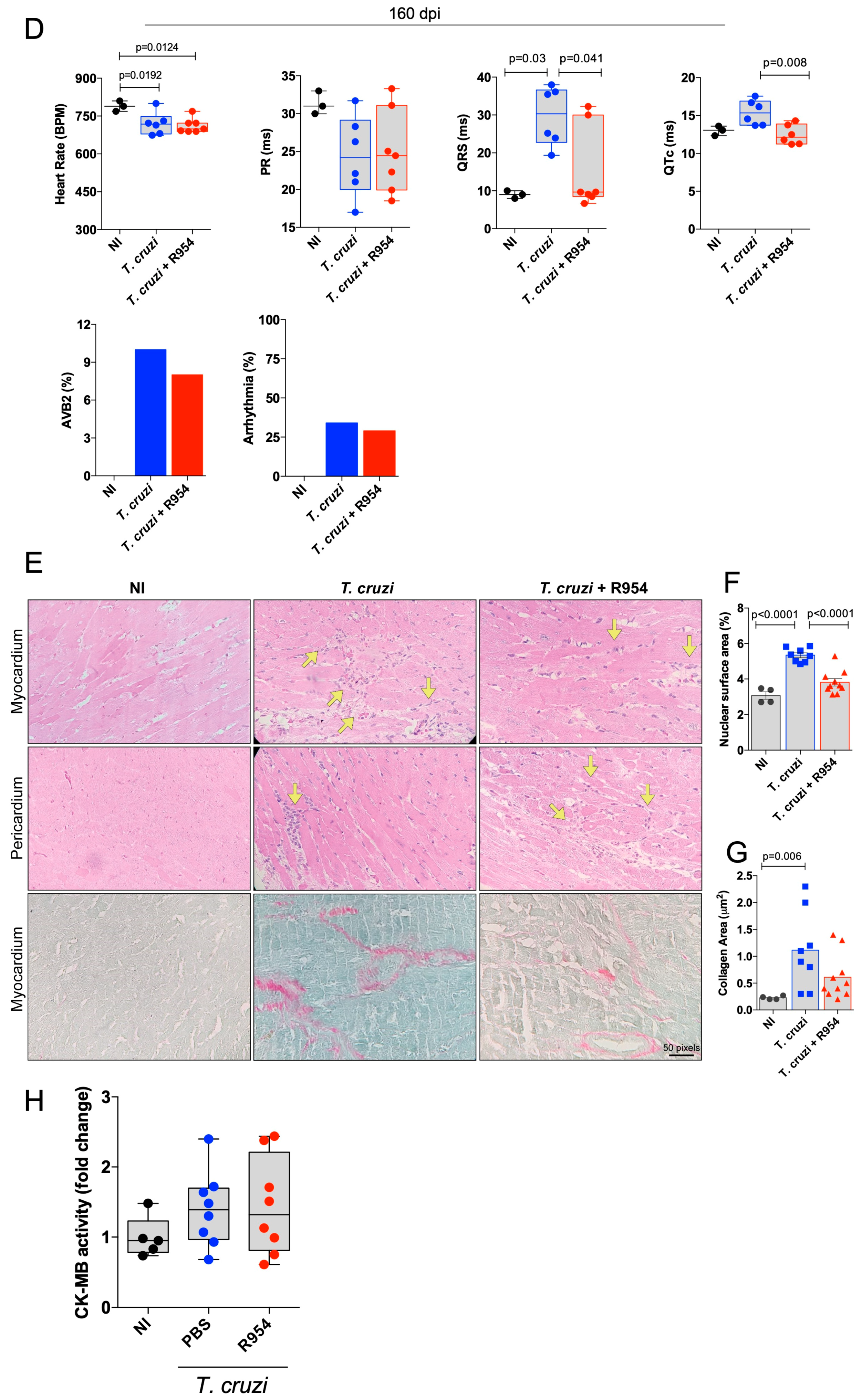 Jcm 12 02888 g004b Jcm 12 02888 g004b