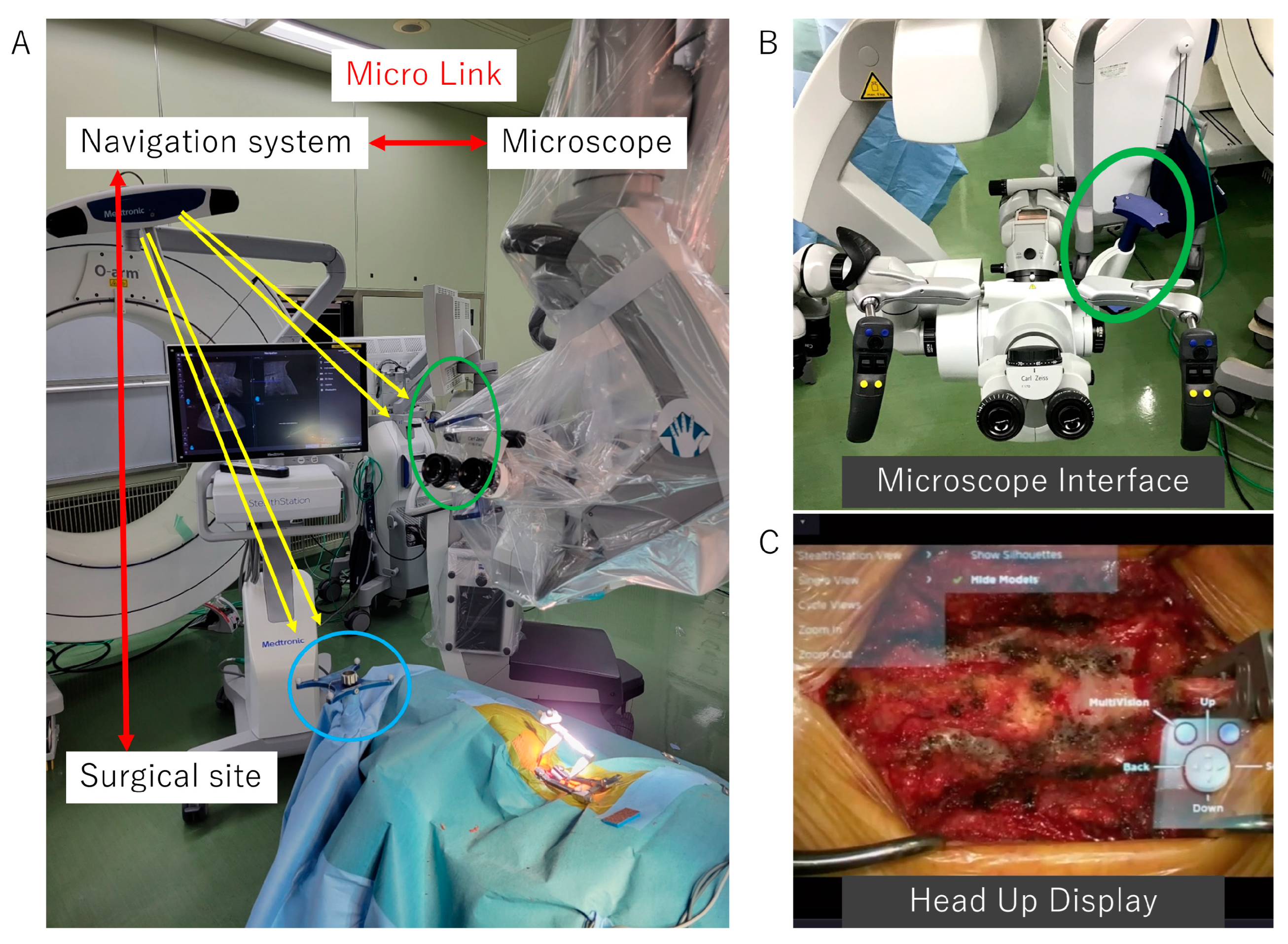 Jcm 12 02898 g001 Jcm 12 02898 g001