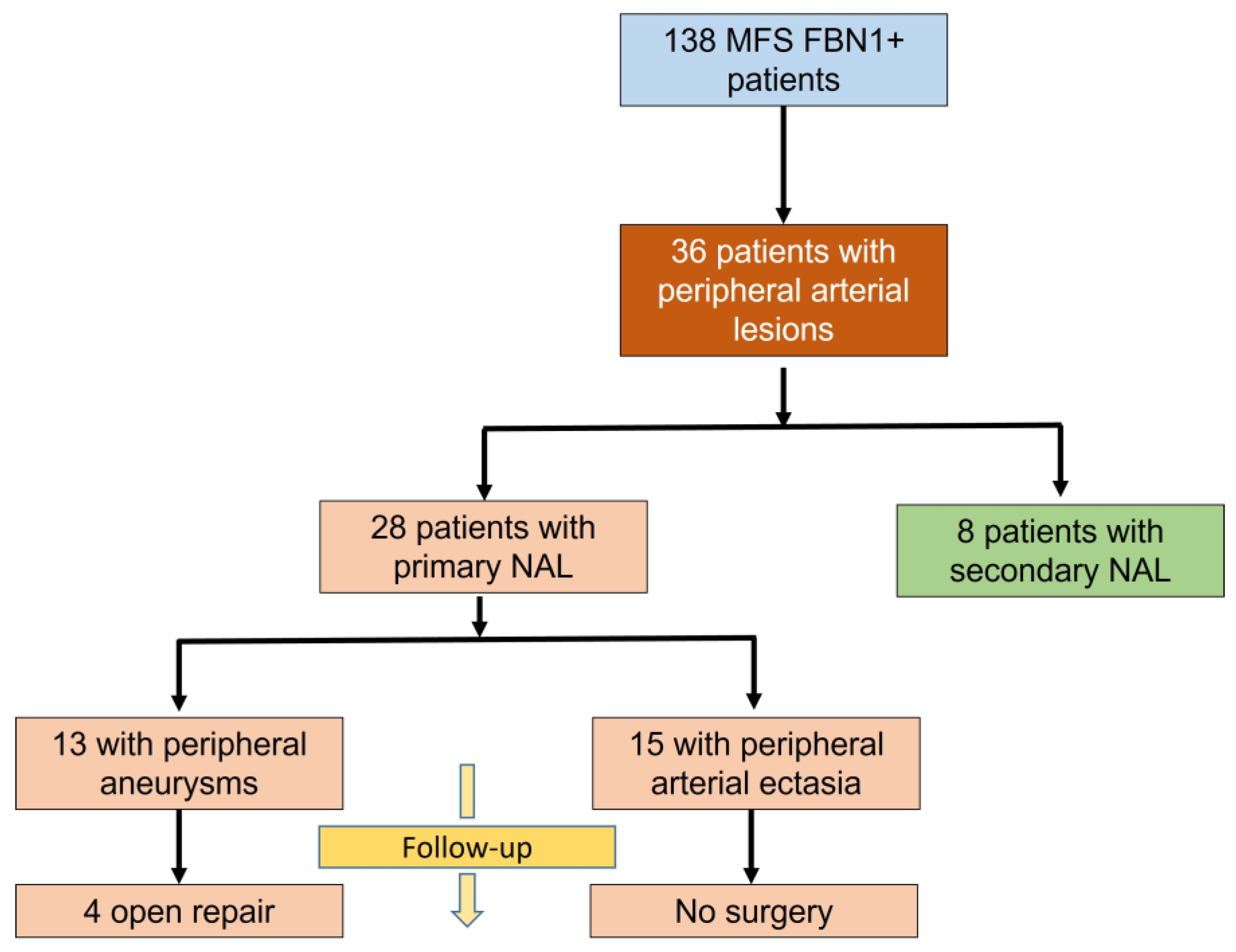 Jcm 12 02902 g001 Jcm 12 02902 g001