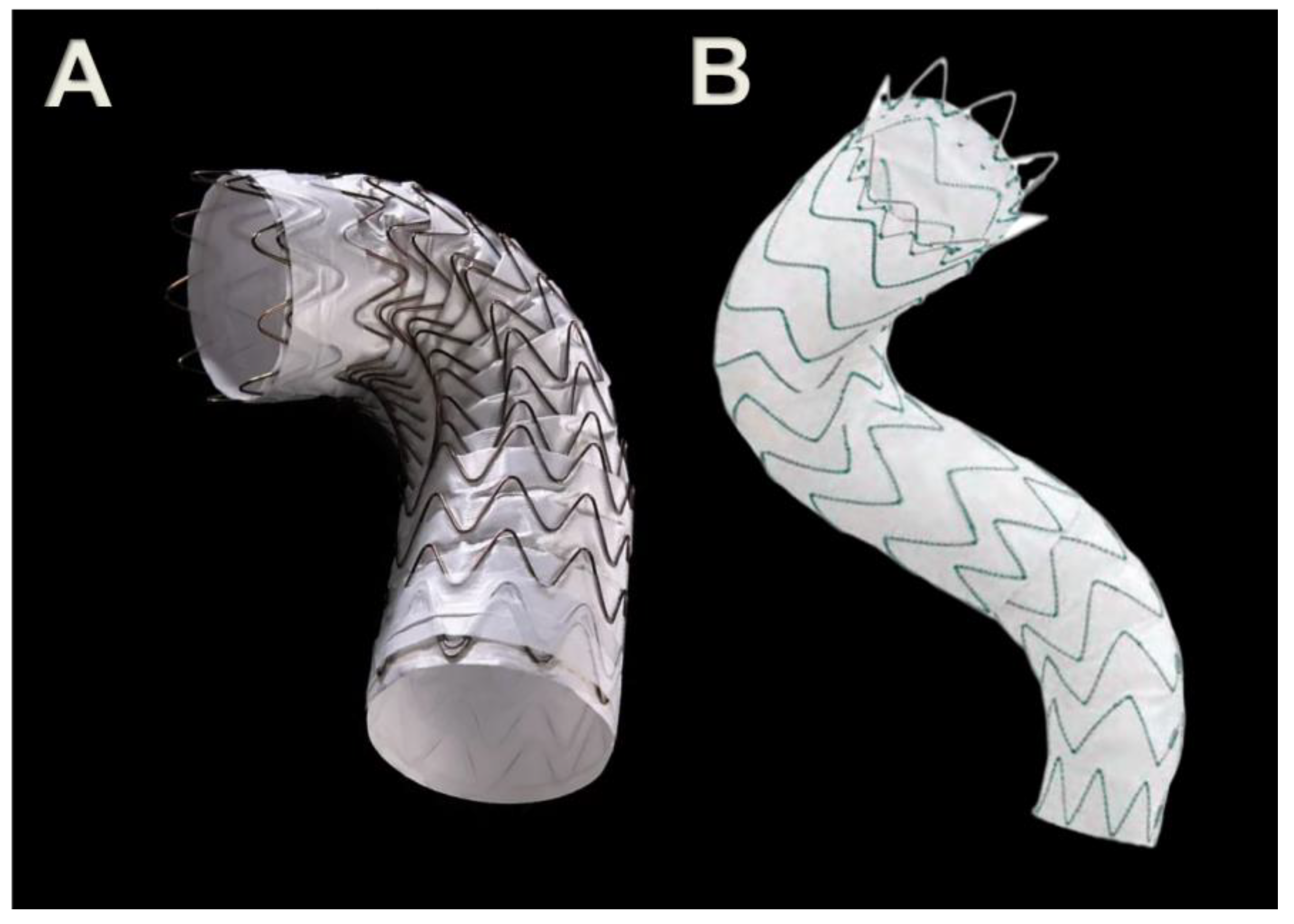 Jcm 12 02903 g004 Jcm 12 02903 g004