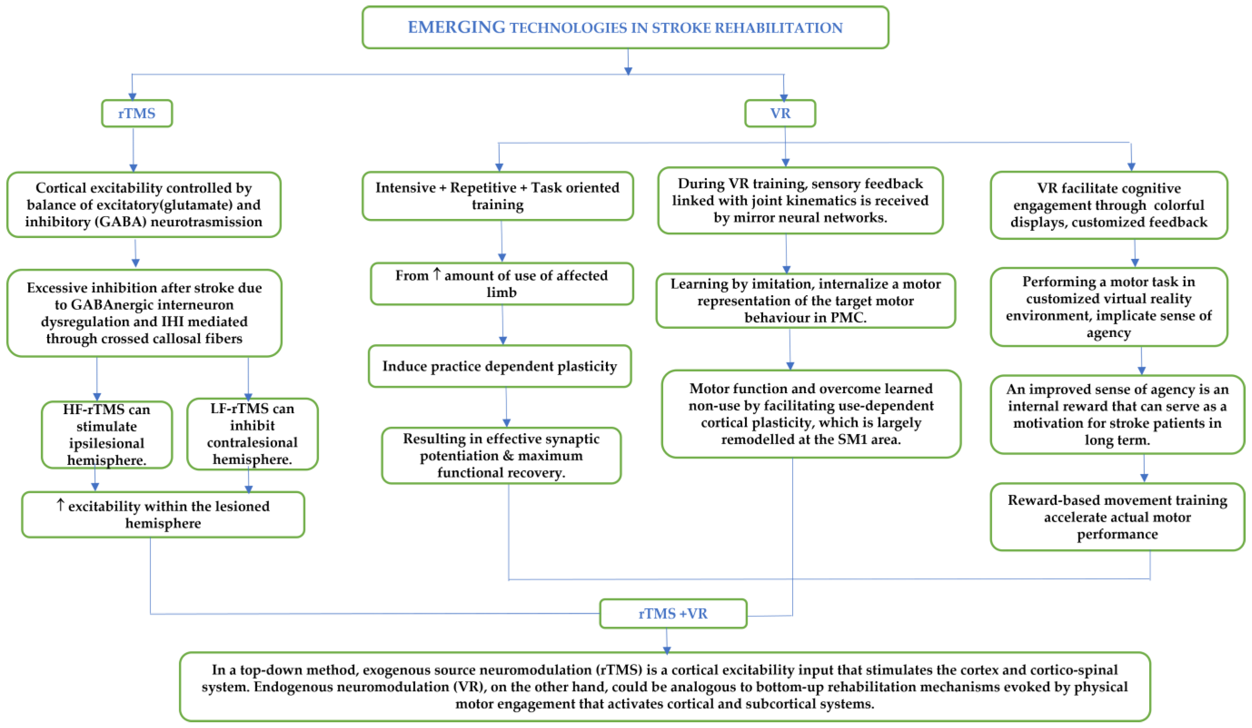 The Shocking Truth About Flaccidity And Spasticity - eqd1ryd