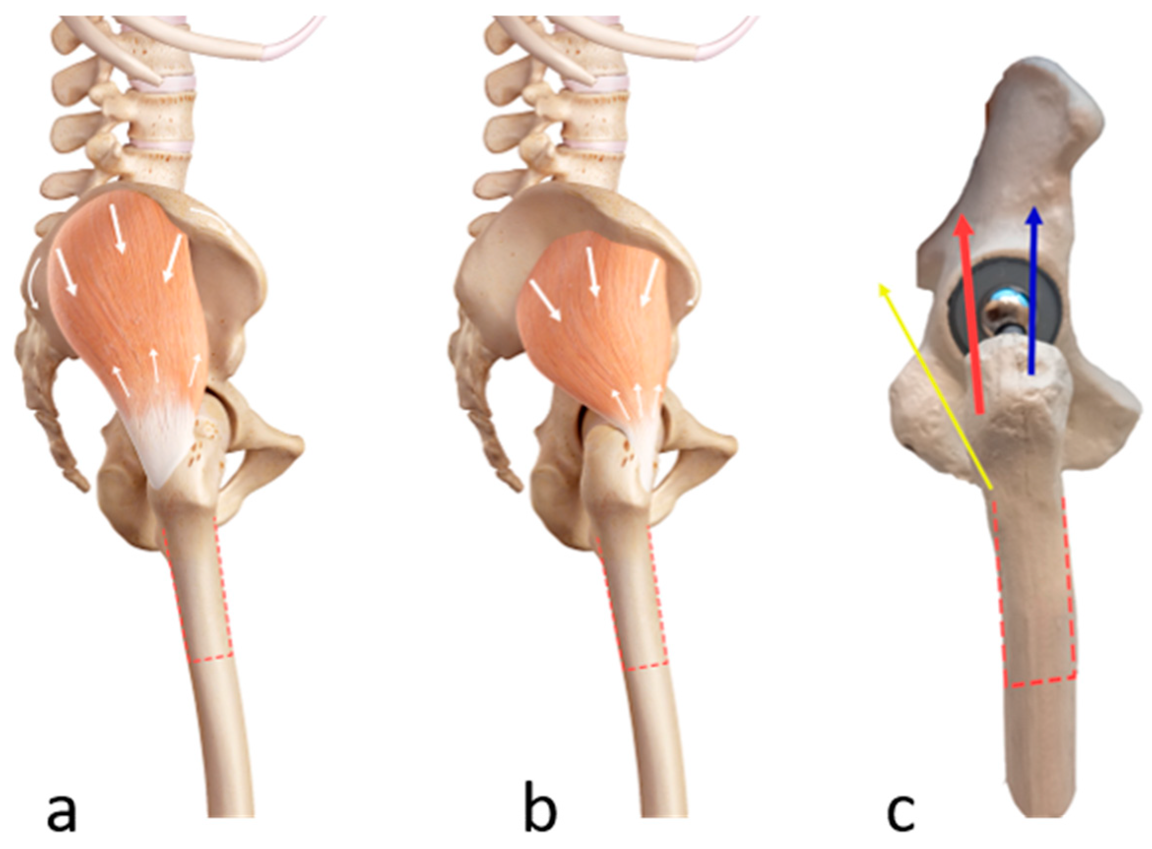 Jcm 12 02947 g002 Jcm 12 02947 g002