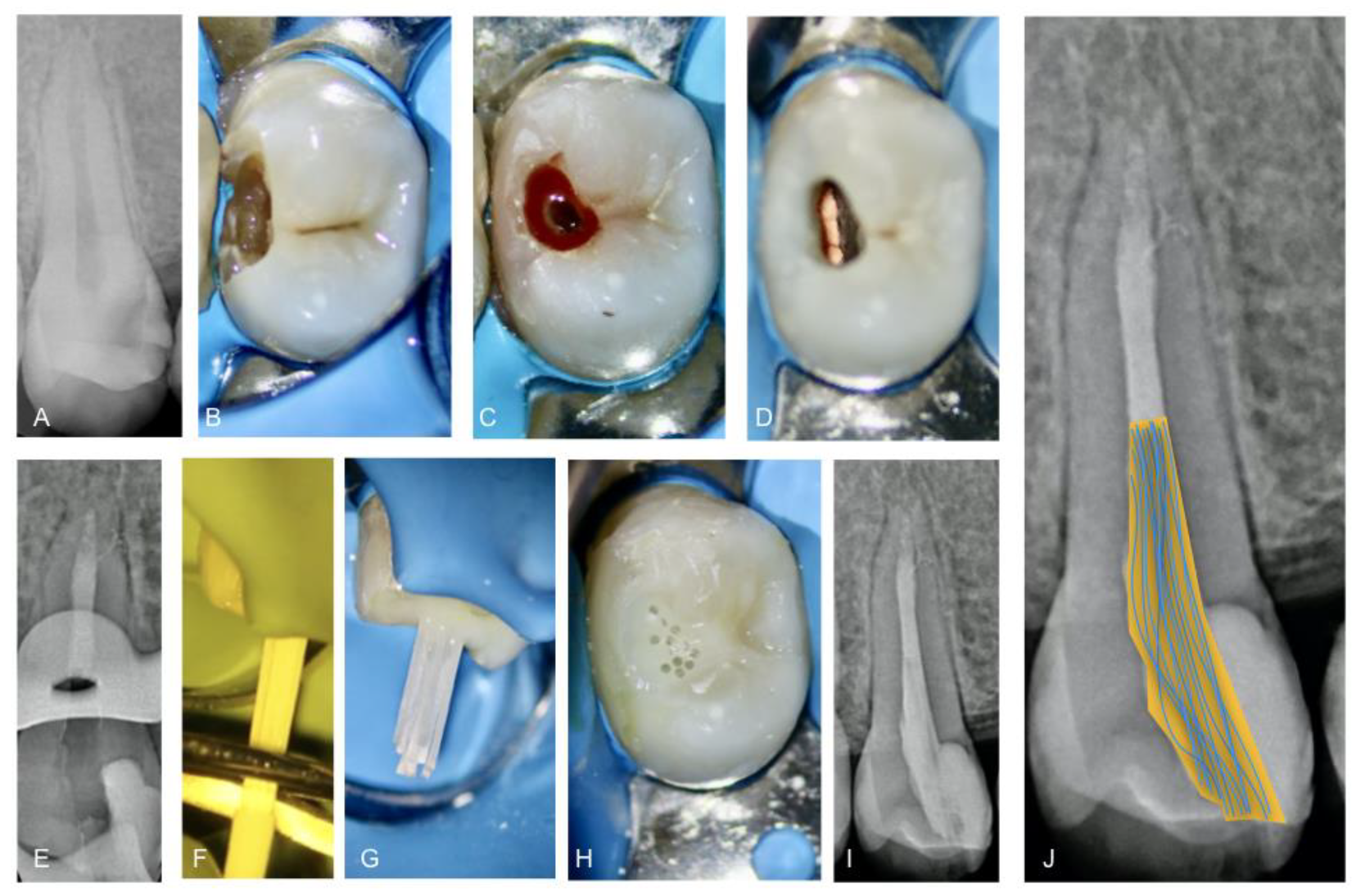 Jcm 12 02975 g001 Jcm 12 02975 g001