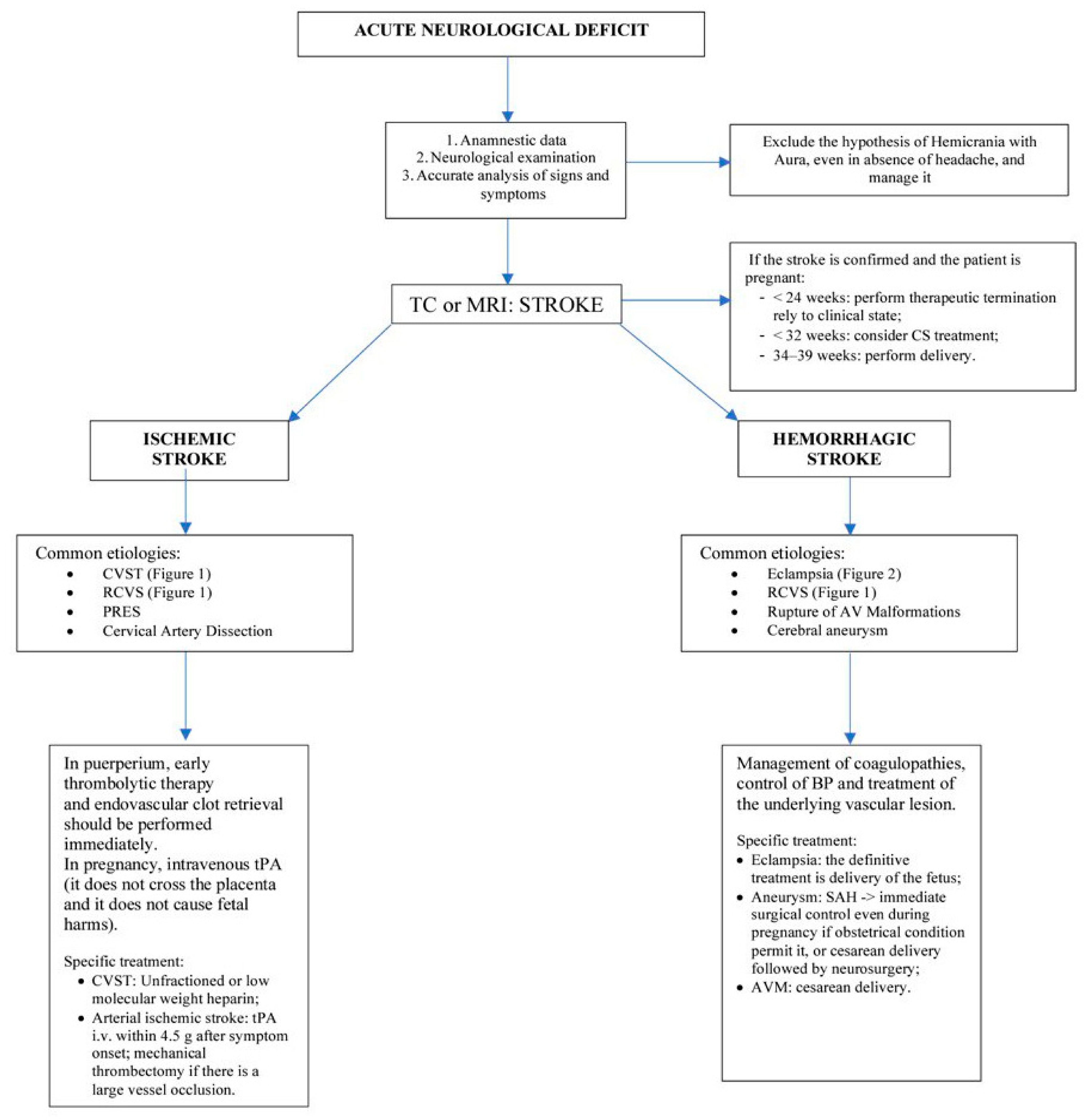 Jcm 12 02994 g003 Jcm 12 02994 g003