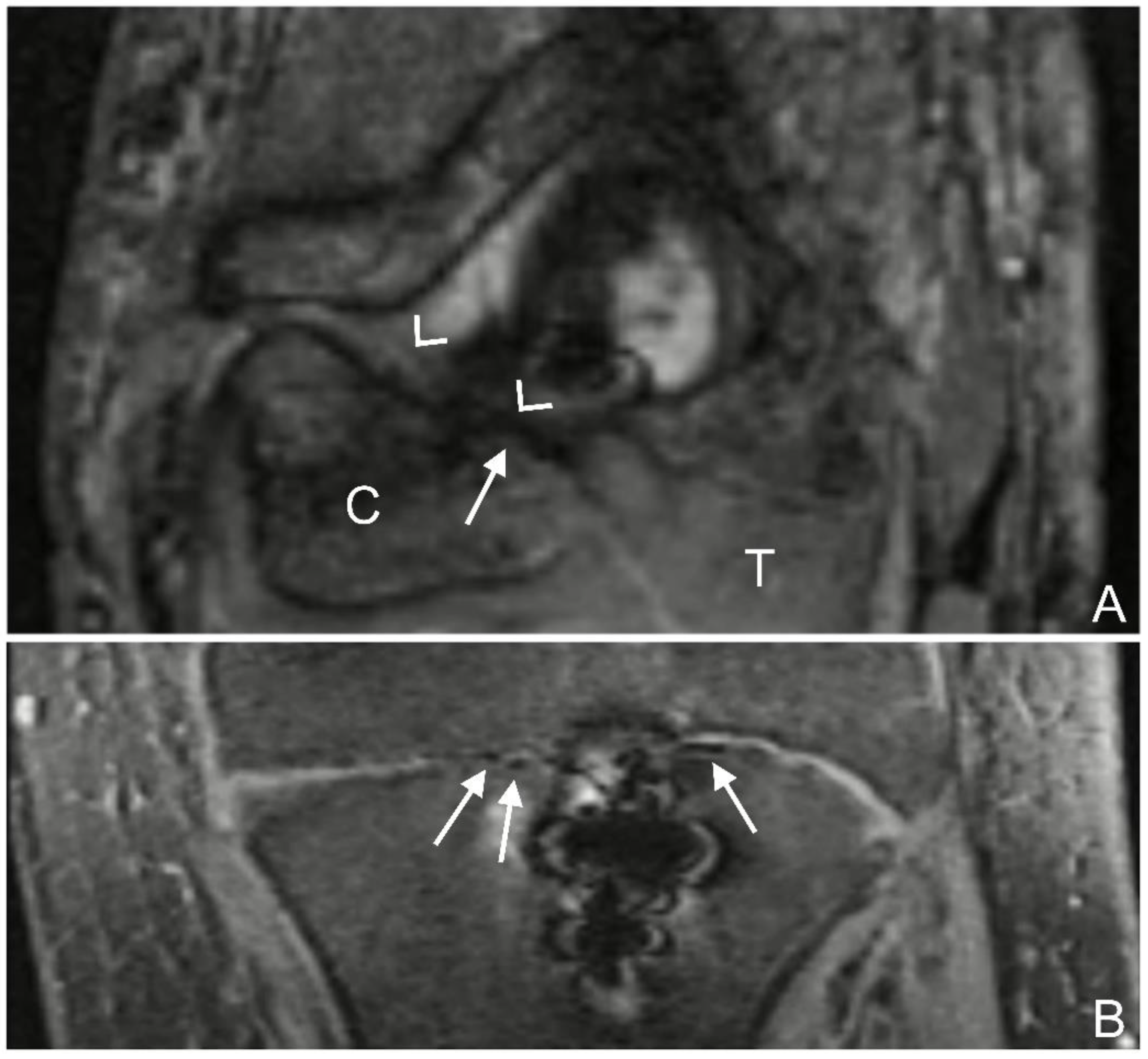 Jcm 12 03016 g001 Jcm 12 03016 g001