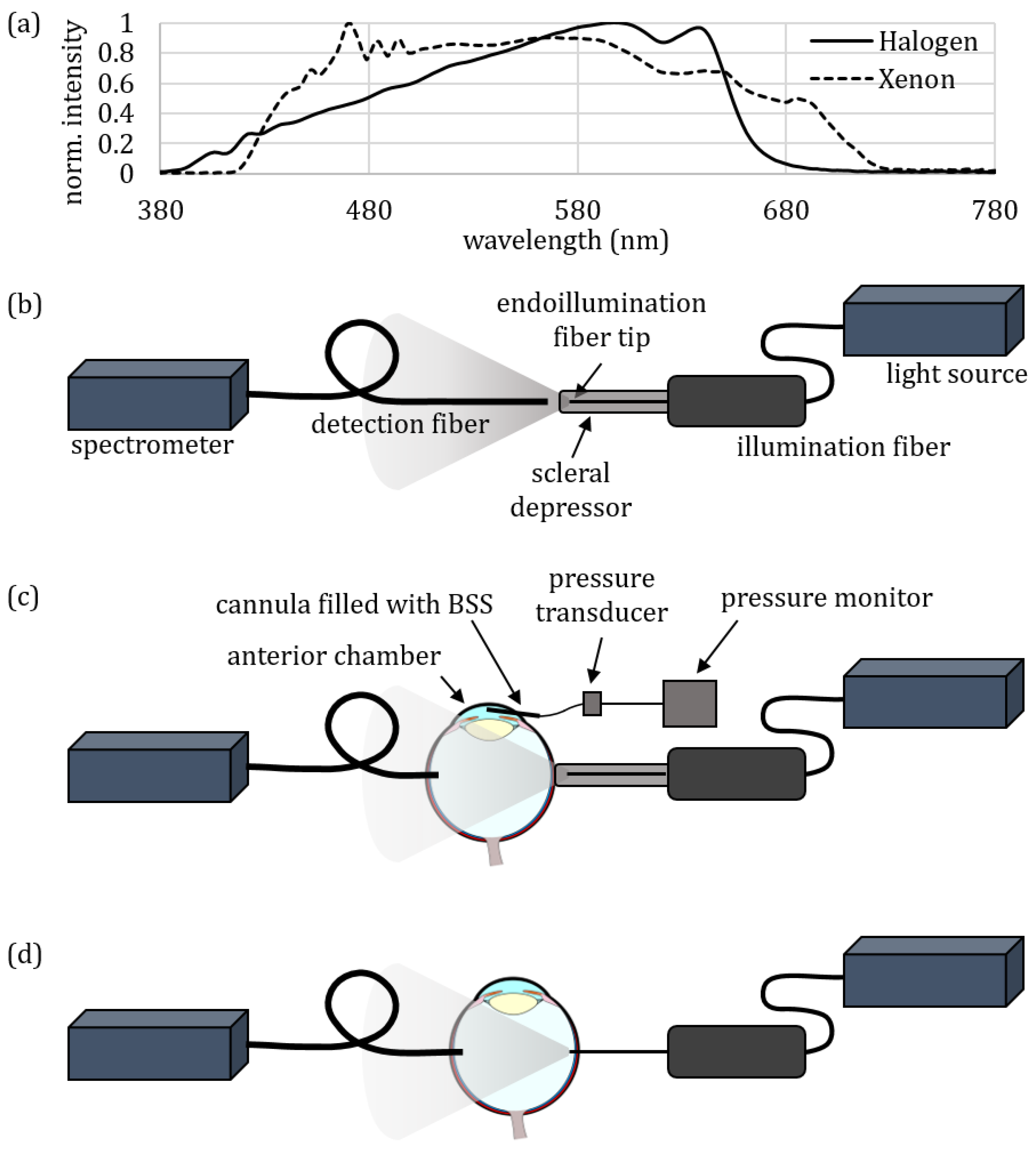 Jcm 12 03034 g002 Jcm 12 03034 g002