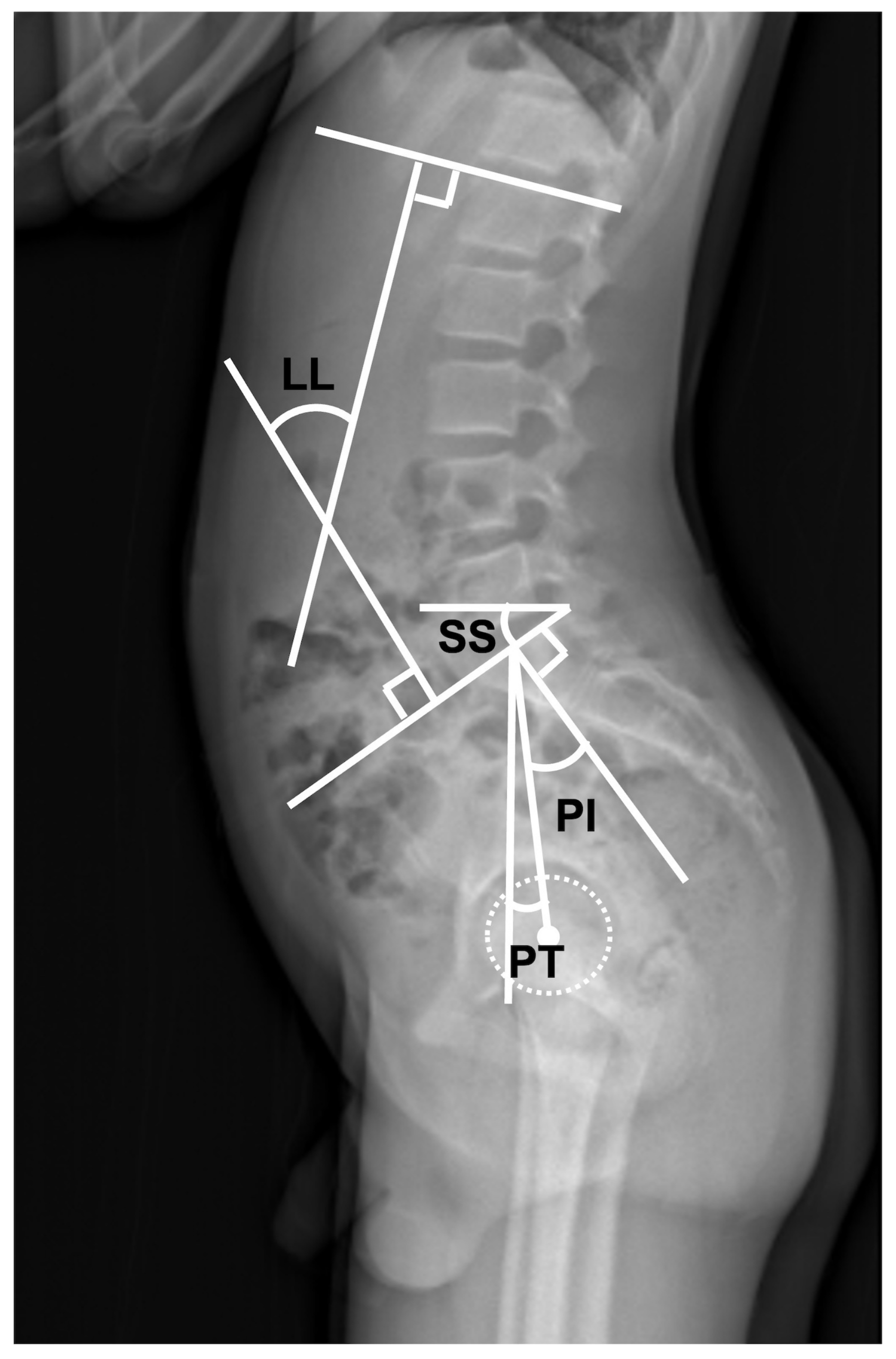 Jcm 12 03041 g004 Jcm 12 03041 g004