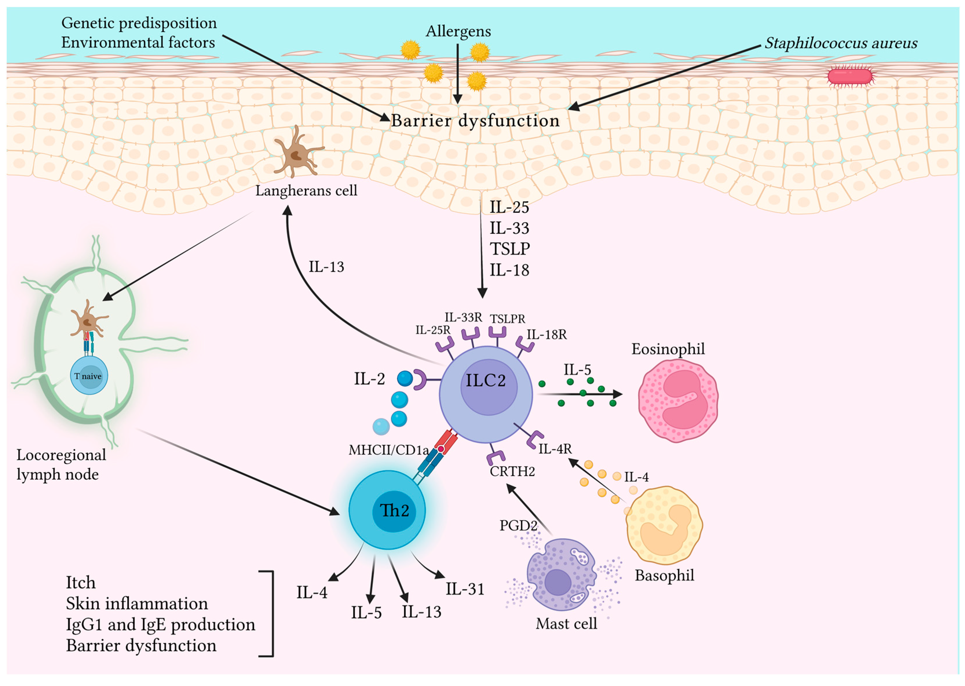 Jcm 12 03043 g002 Jcm 12 03043 g002