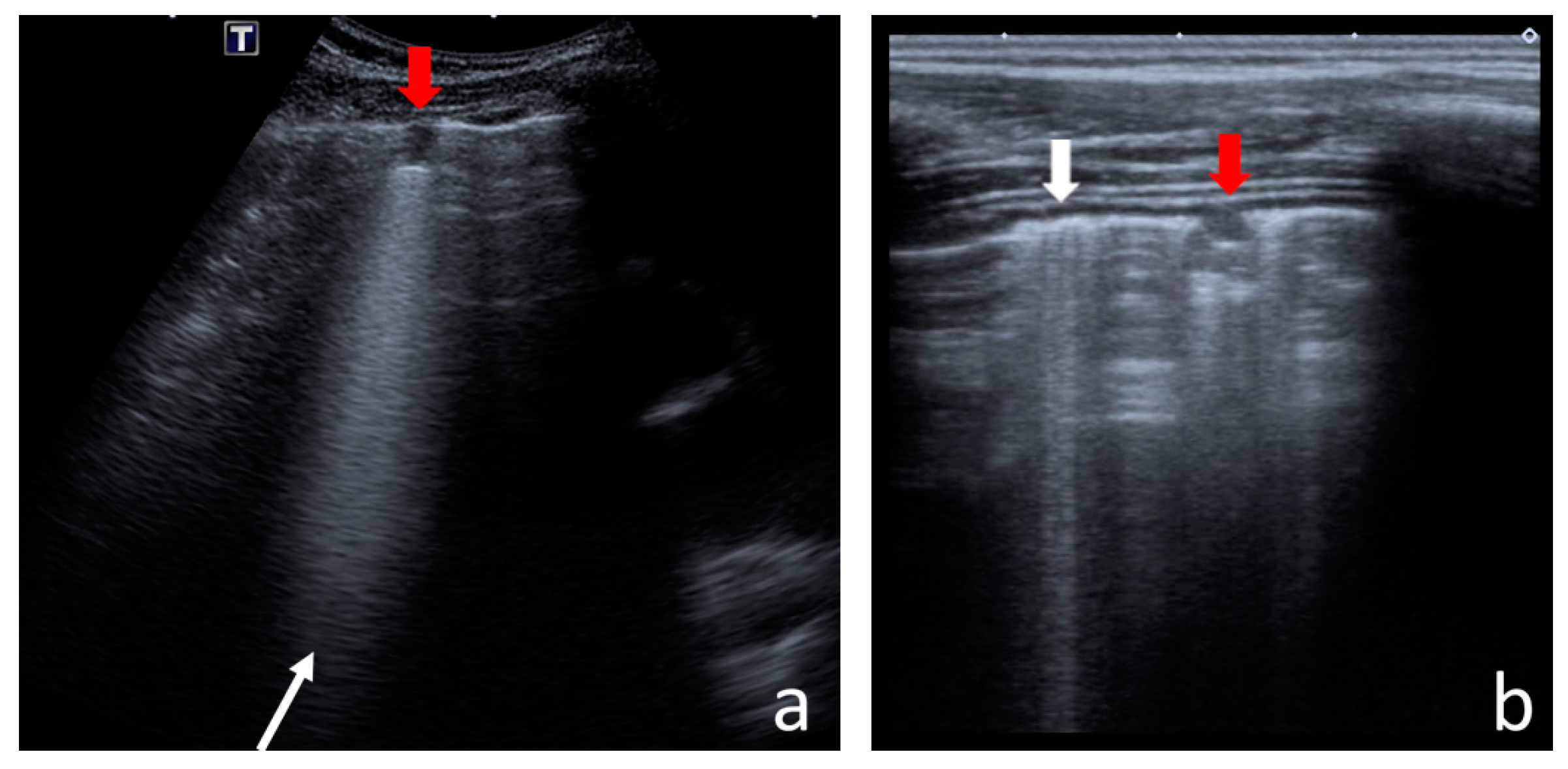 Jcm 12 03086 g006 Jcm 12 03086 g006