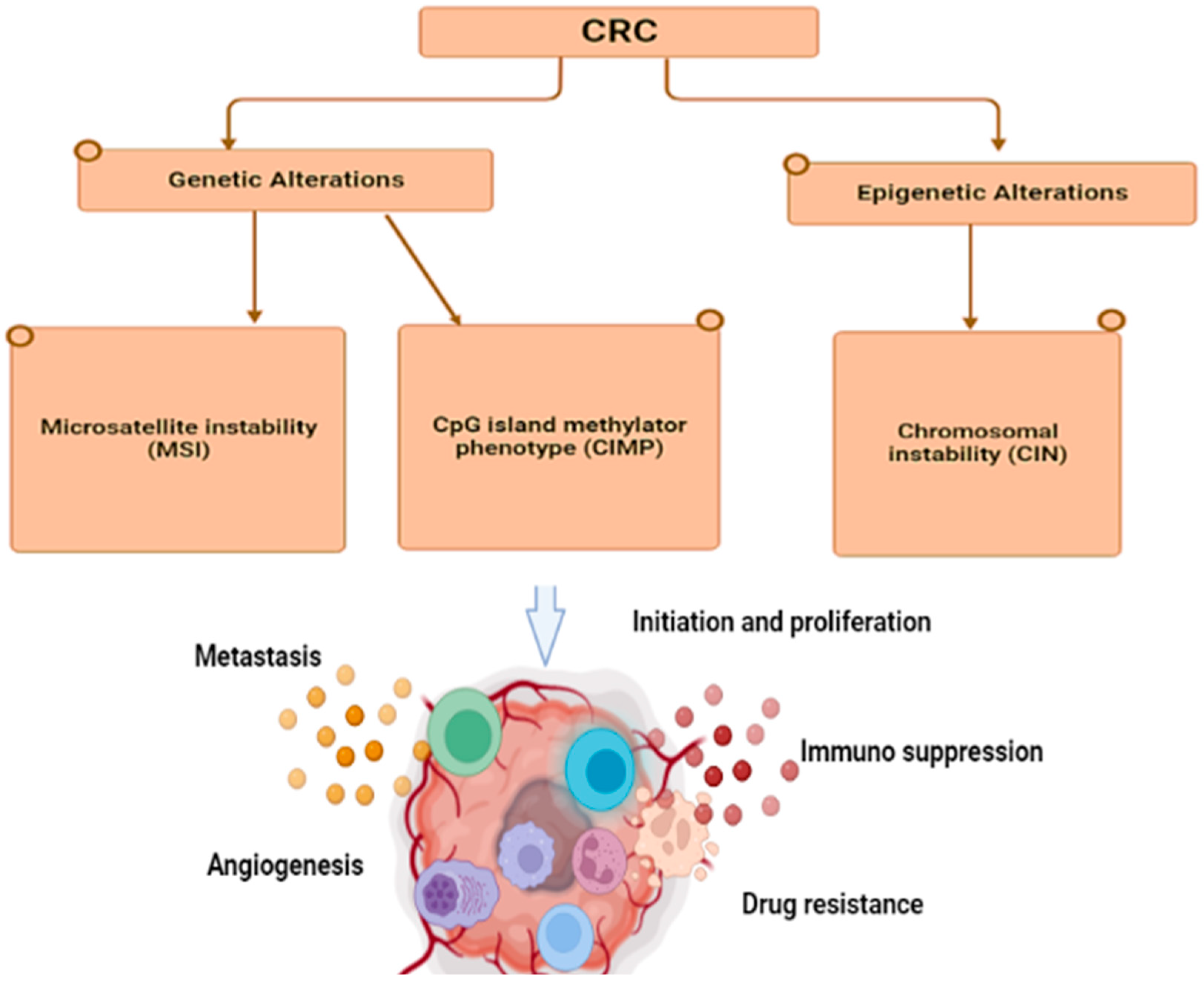 Jcm 12 03127 g001 Jcm 12 03127 g001