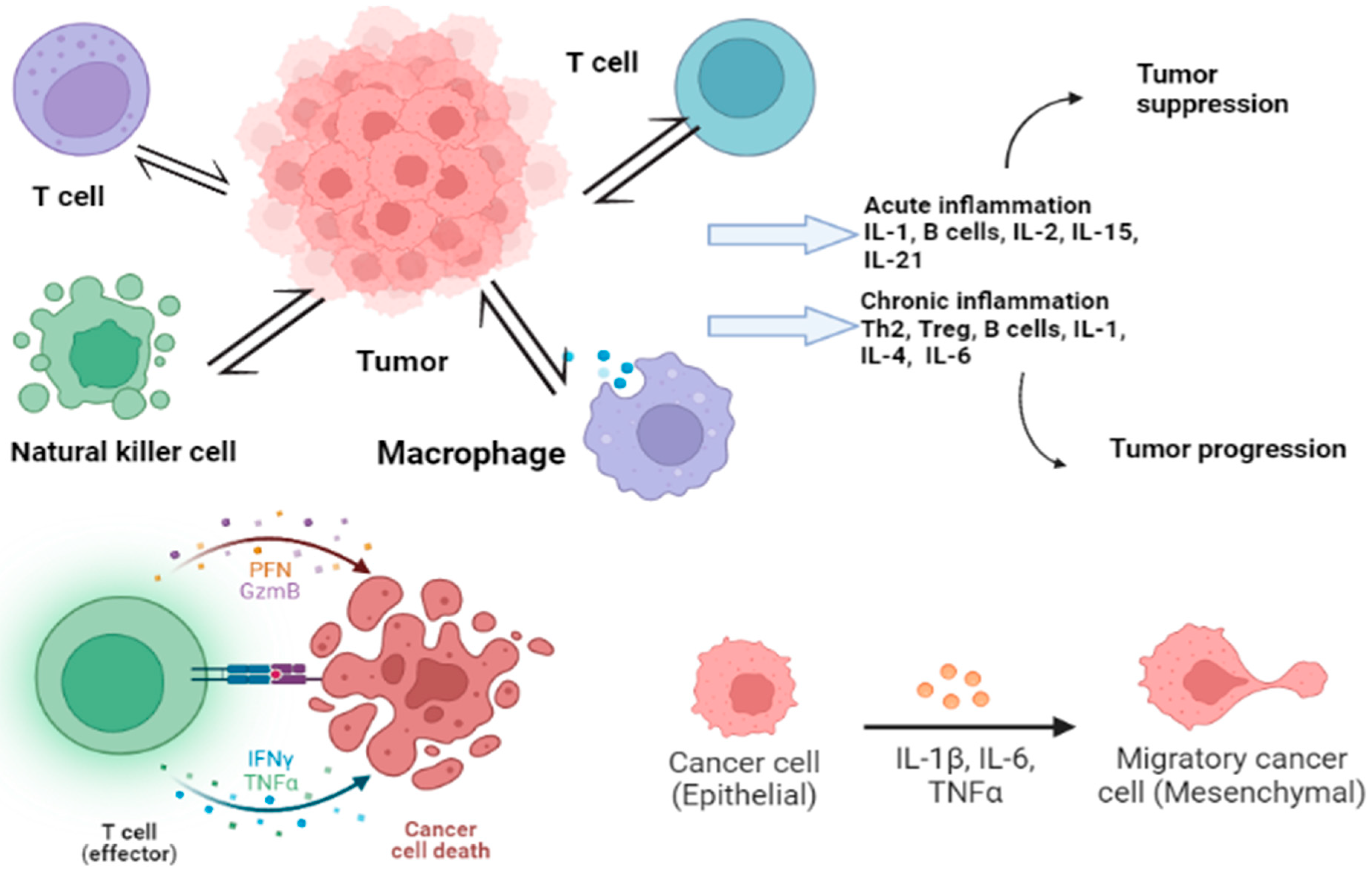 Jcm 12 03127 g002 Jcm 12 03127 g002