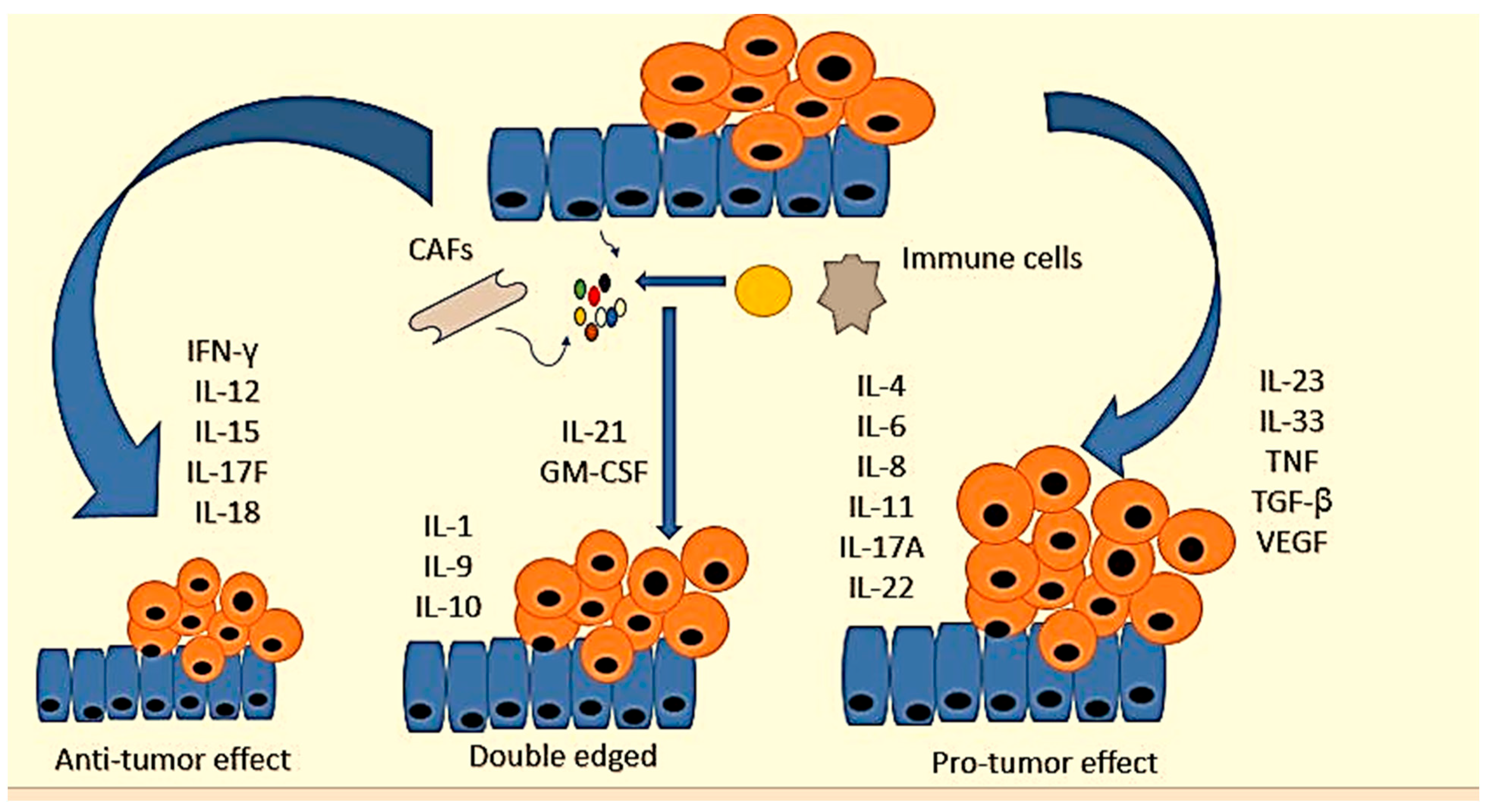 Jcm 12 03127 g003 Jcm 12 03127 g003