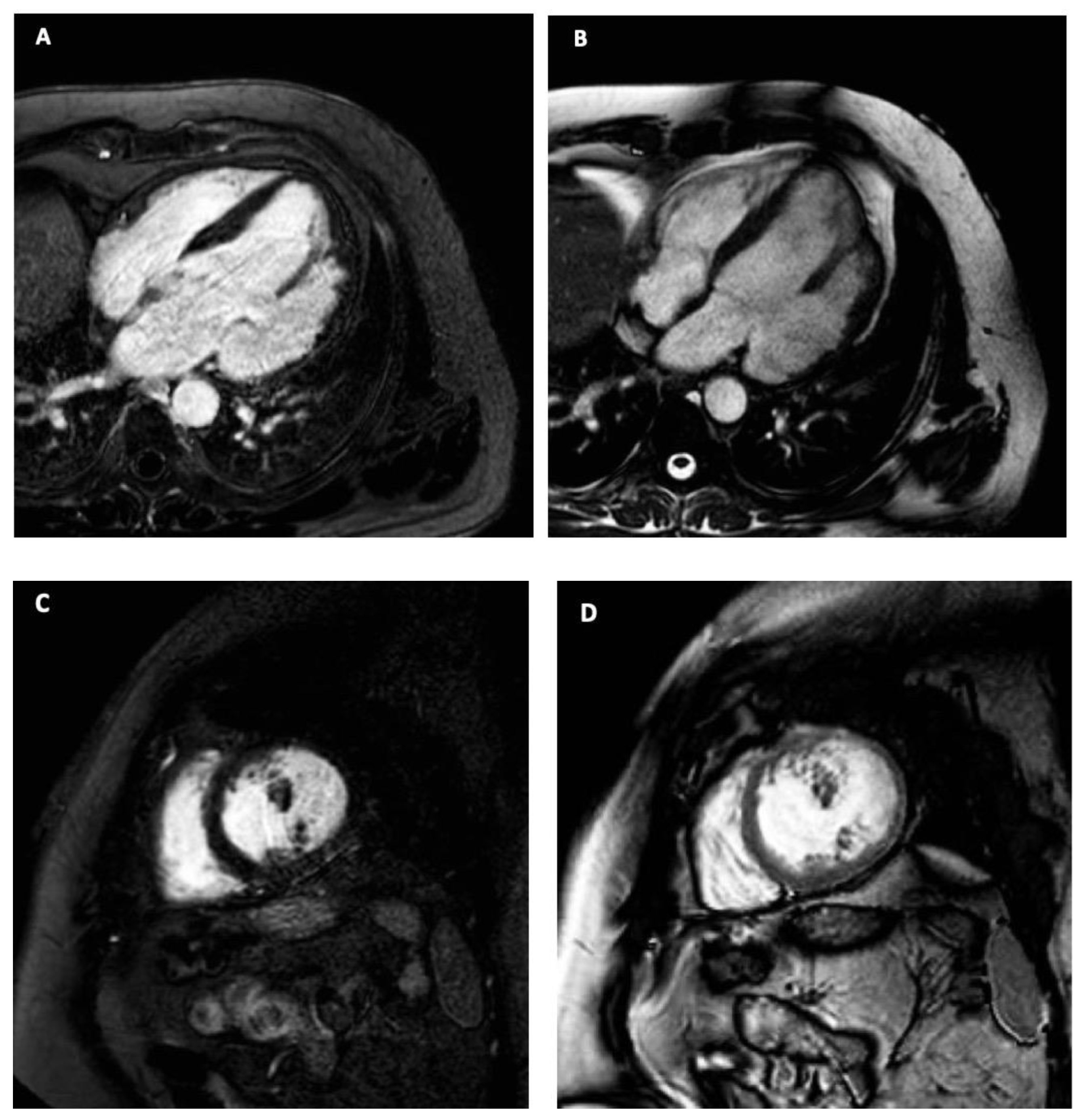 Jcm 12 03153 g004 Jcm 12 03153 g004