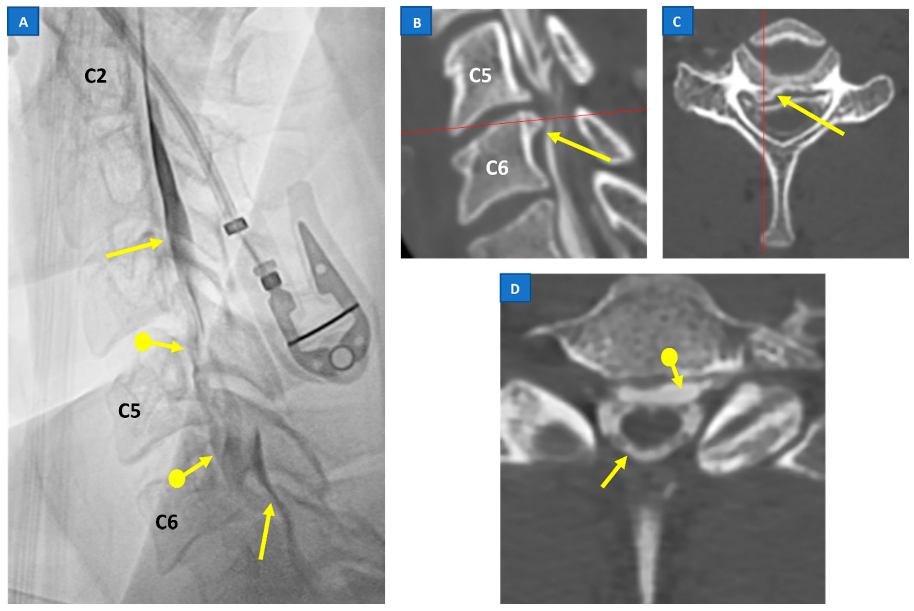 Jcm 12 03287 g001 Jcm 12 03287 g001
