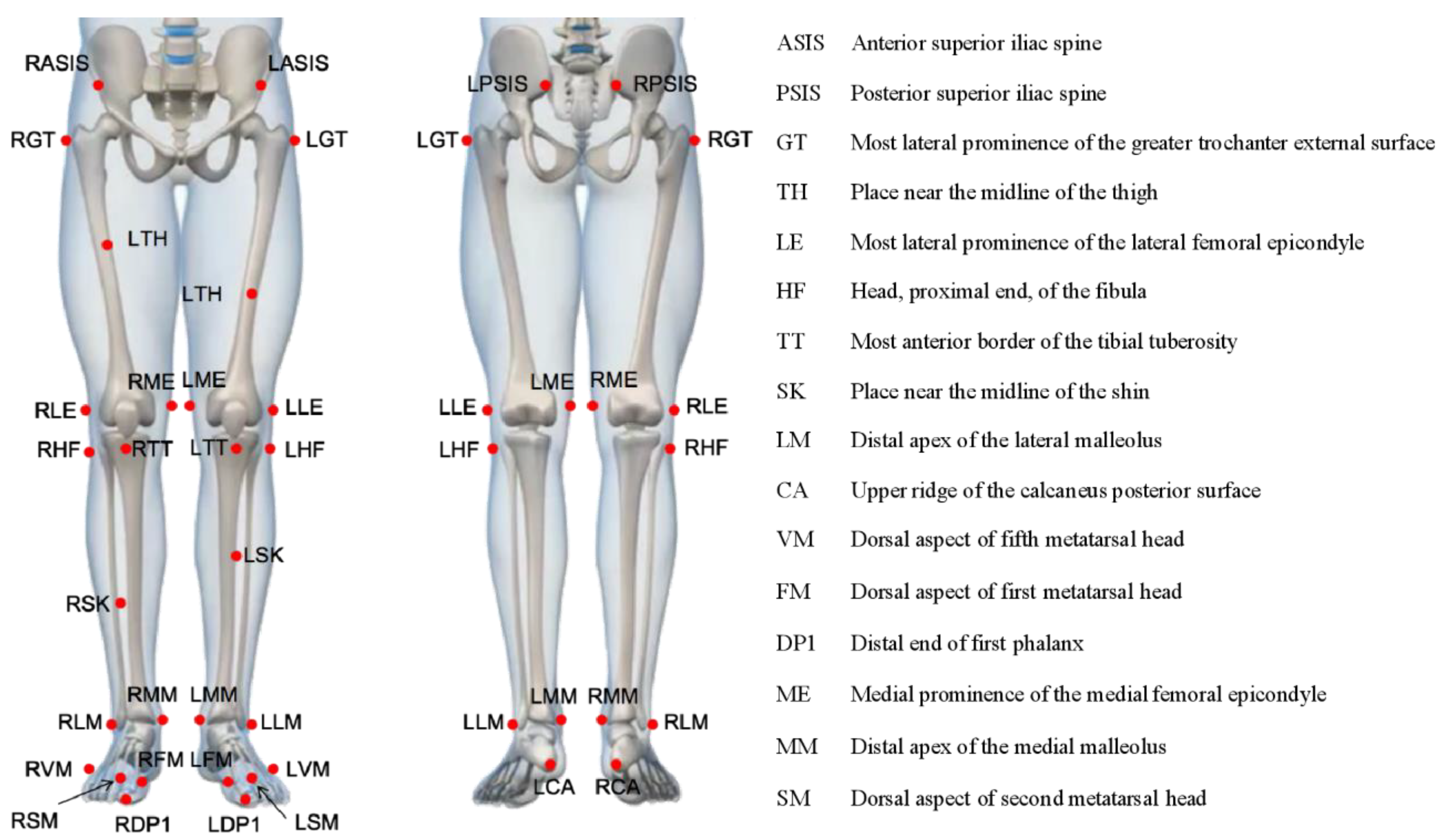 Jcm 12 03296 g001 Jcm 12 03296 g001