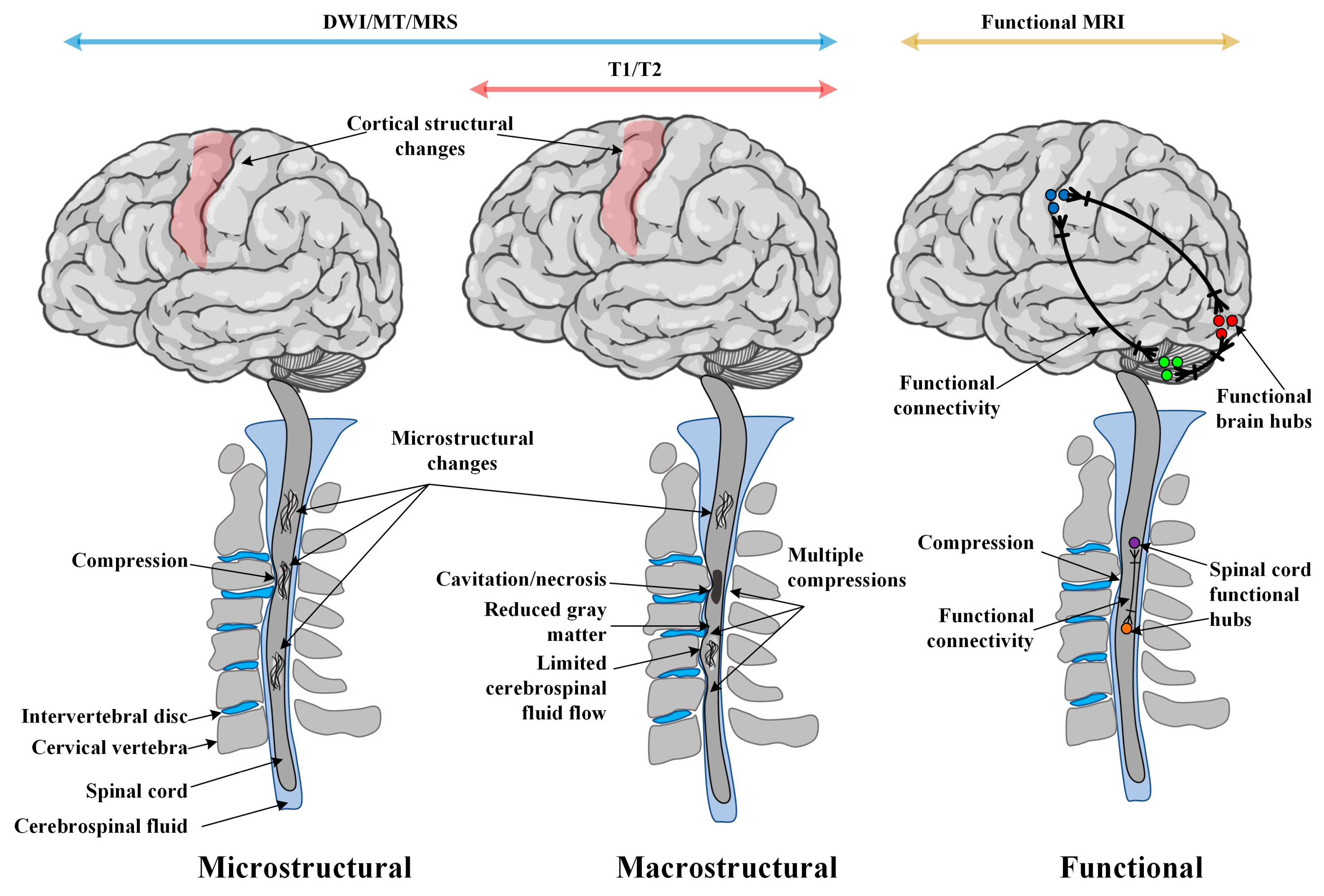 Jcm 12 03337 g001 Jcm 12 03337 g001