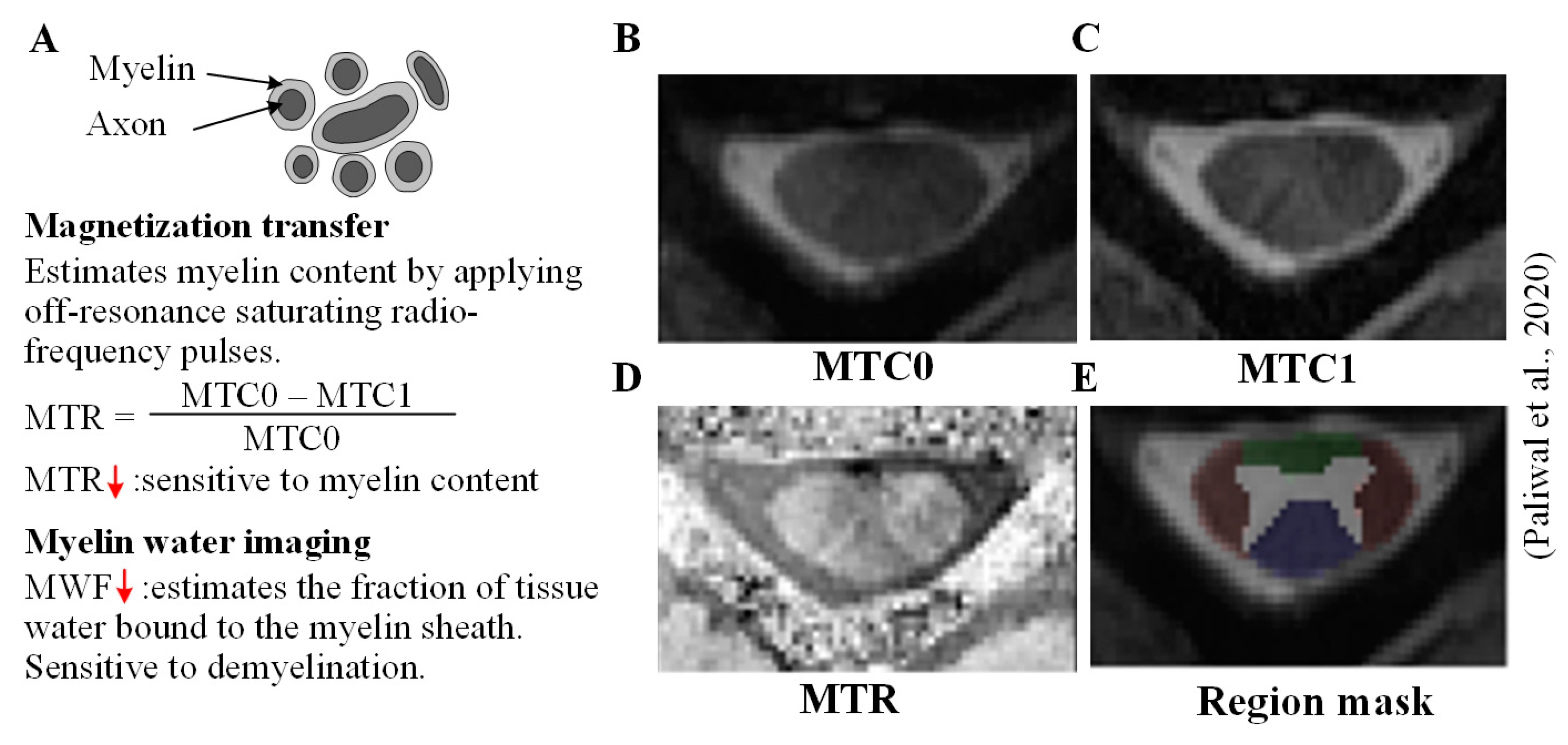 Jcm 12 03337 g005 Jcm 12 03337 g005