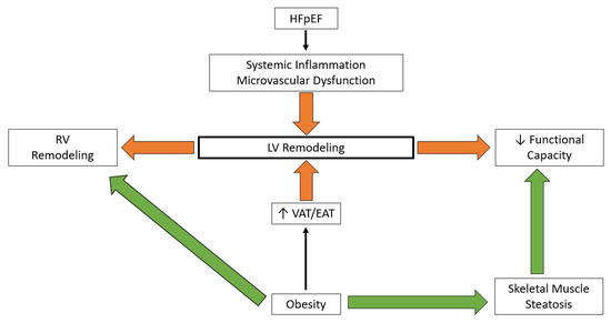 Obesity, Preserved Ejection Fraction Heart Failure, and Left ...