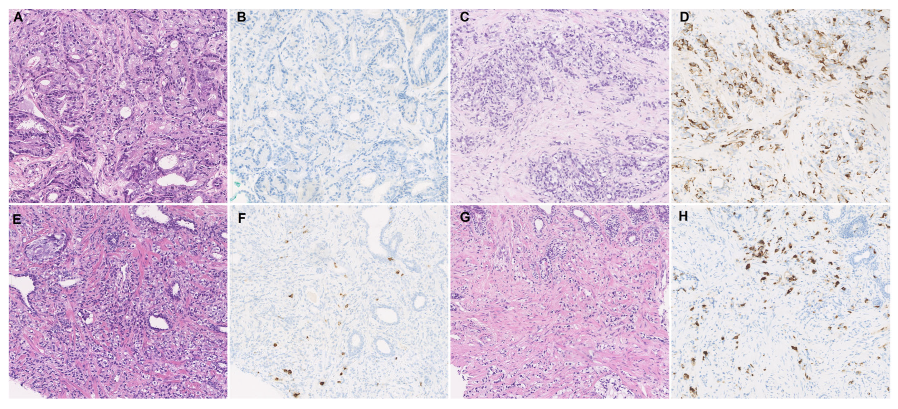 Jcm 12 03362 g002 Jcm 12 03362 g002