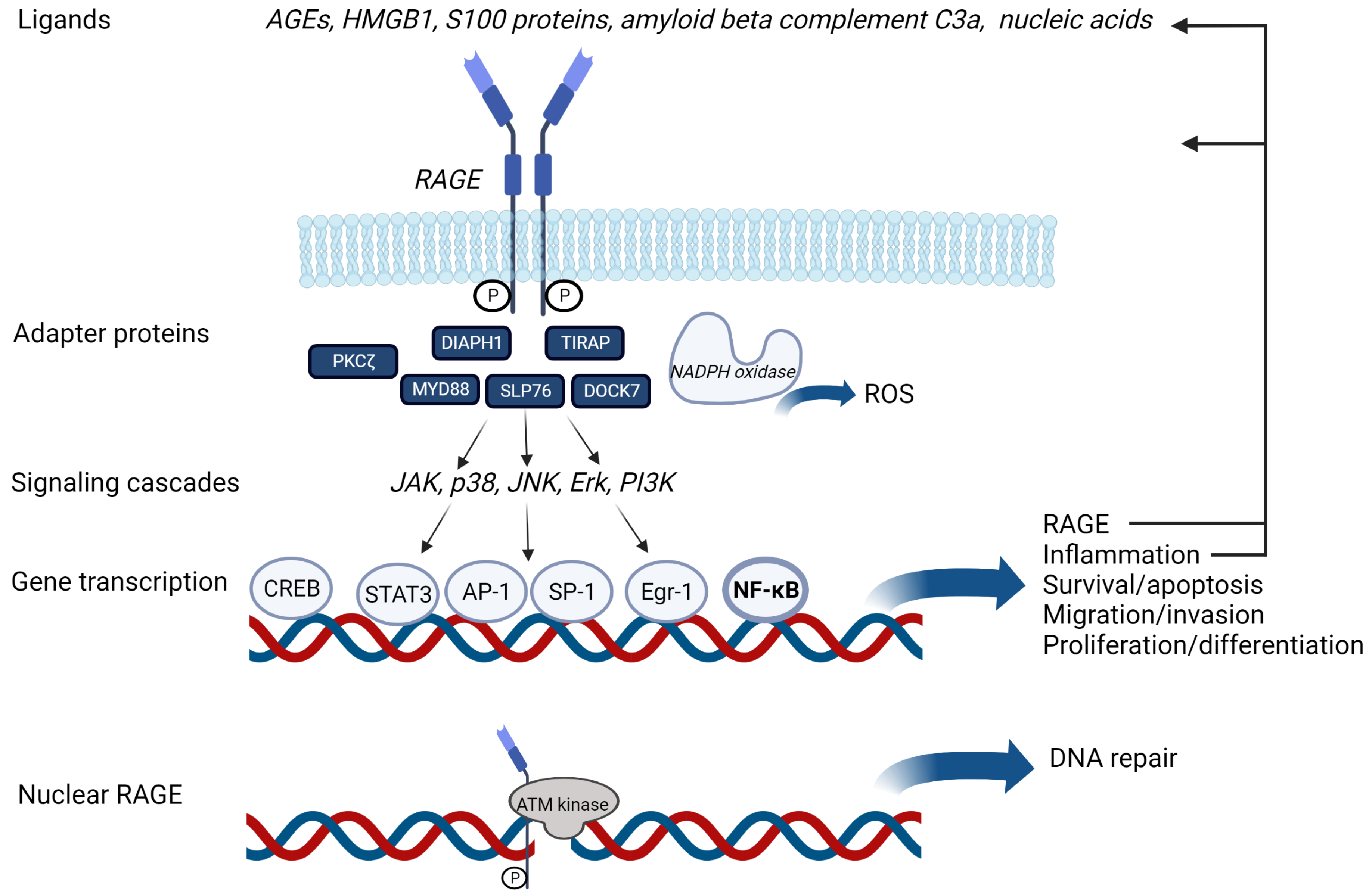 Jcm 12 03366 g003 Jcm 12 03366 g003