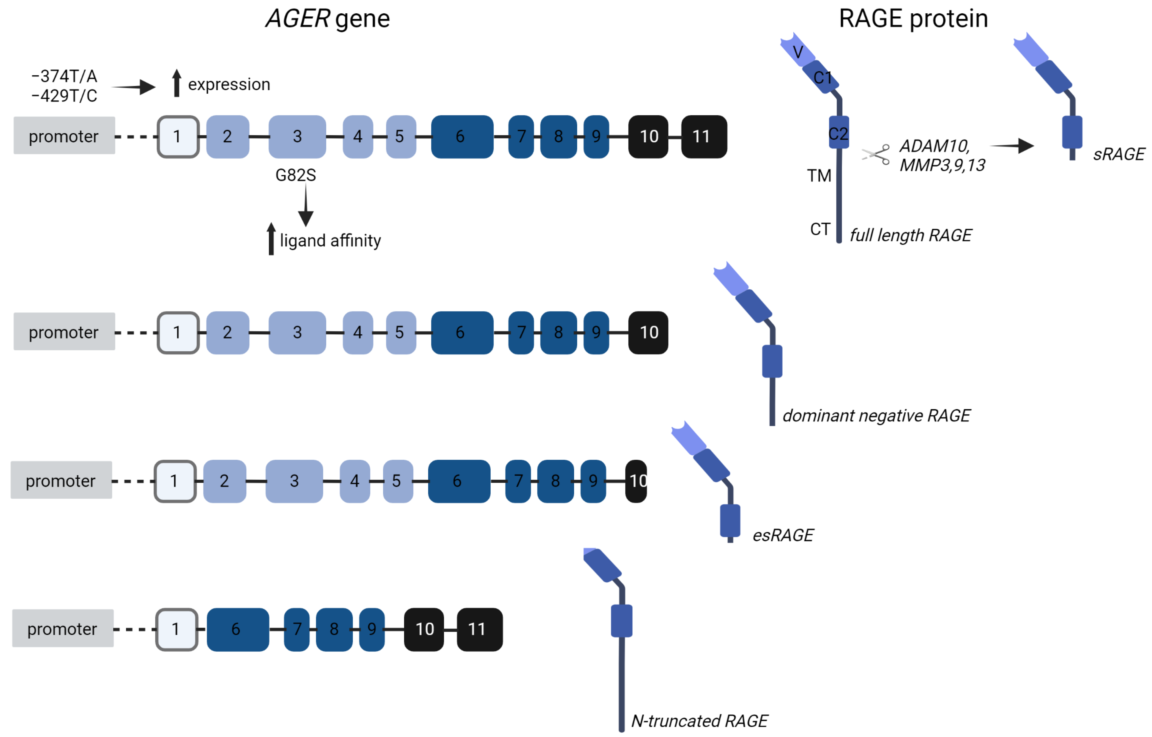 Jcm 12 03366 g004 Jcm 12 03366 g004