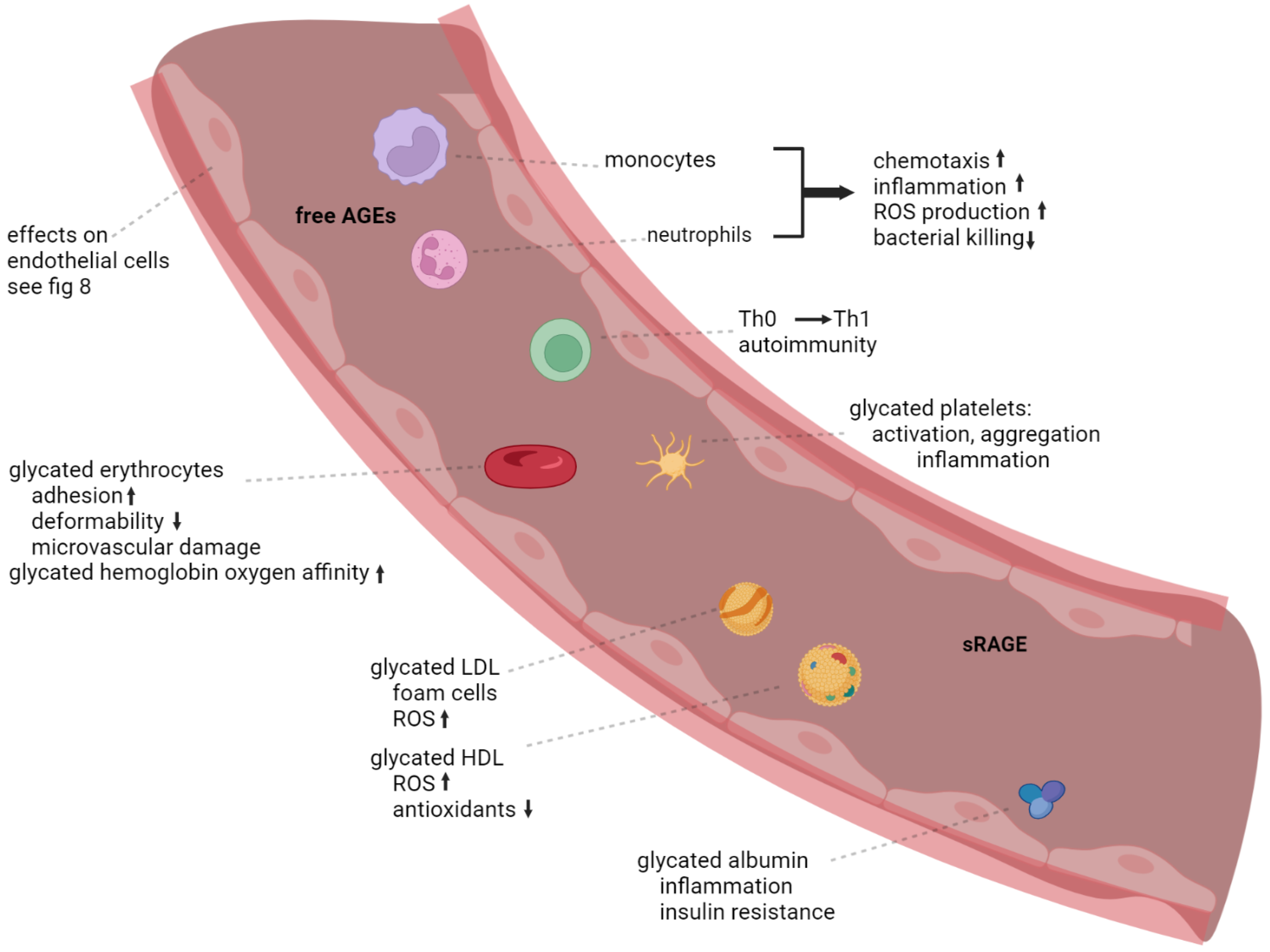 Jcm 12 03366 g007 Jcm 12 03366 g007