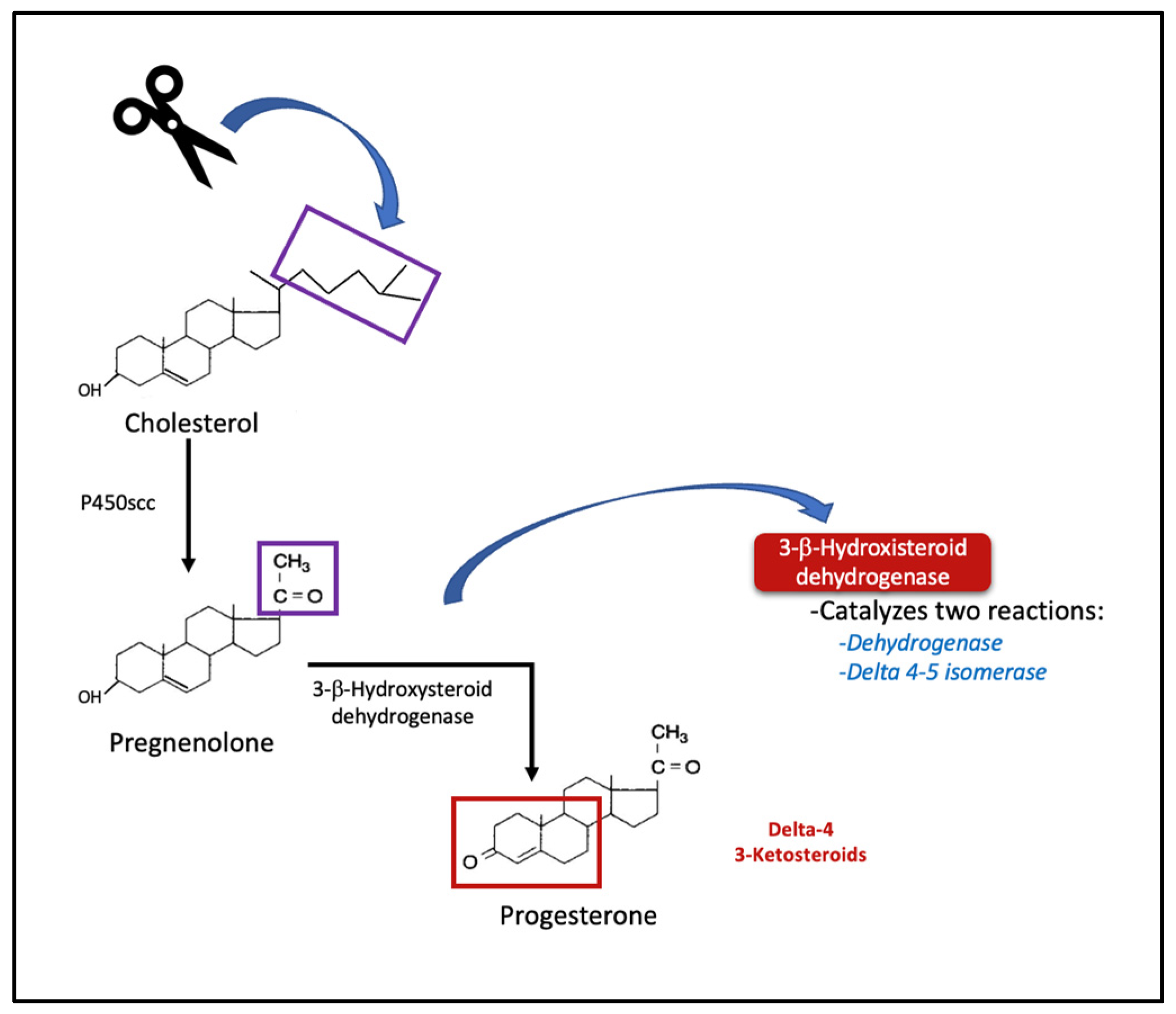 The Shocking Link Between Progesterone & Miscarriage At 10 Weeks - 28rtdg3