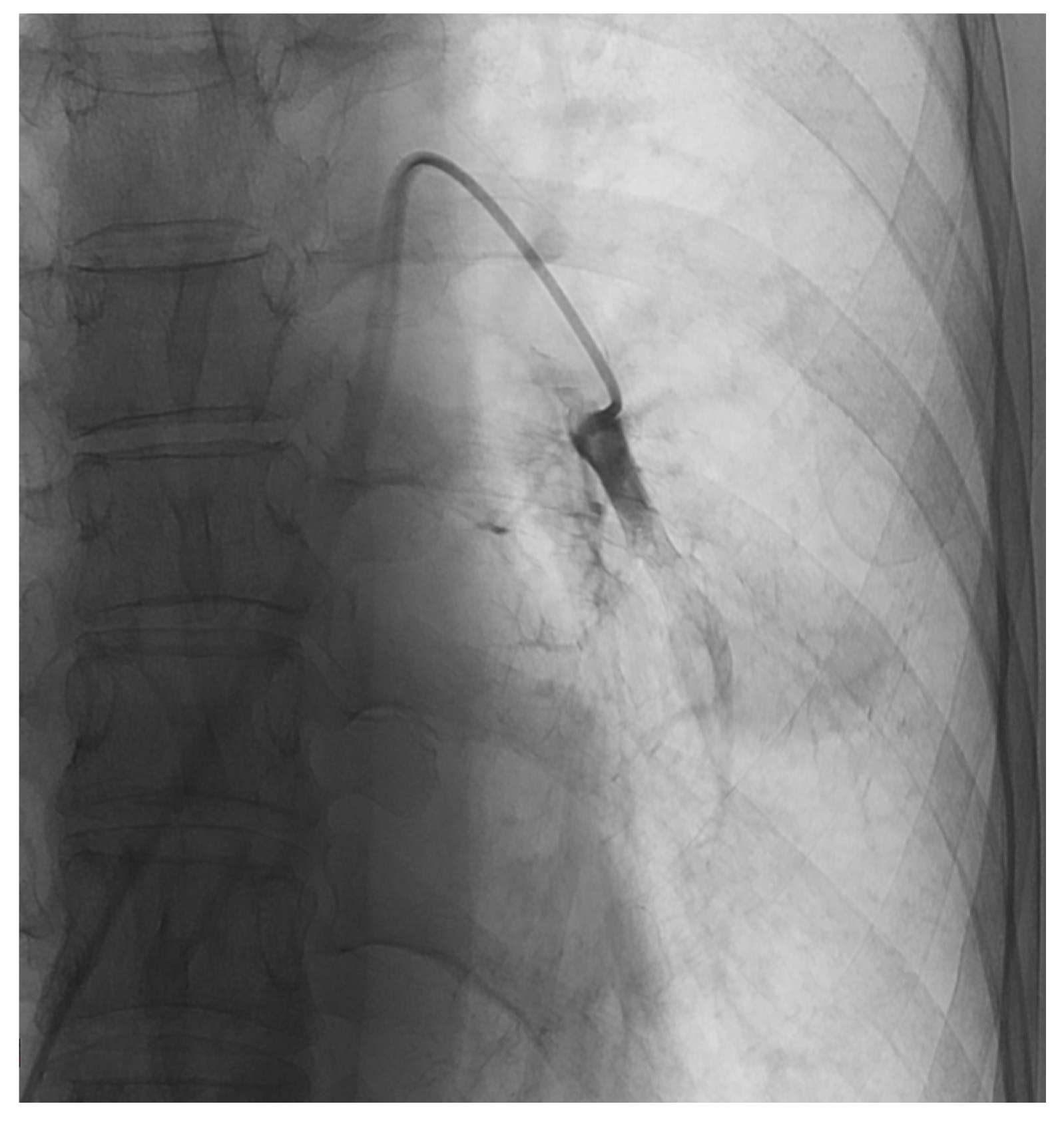 Jcm 12 03394 g001 Jcm 12 03394 g001