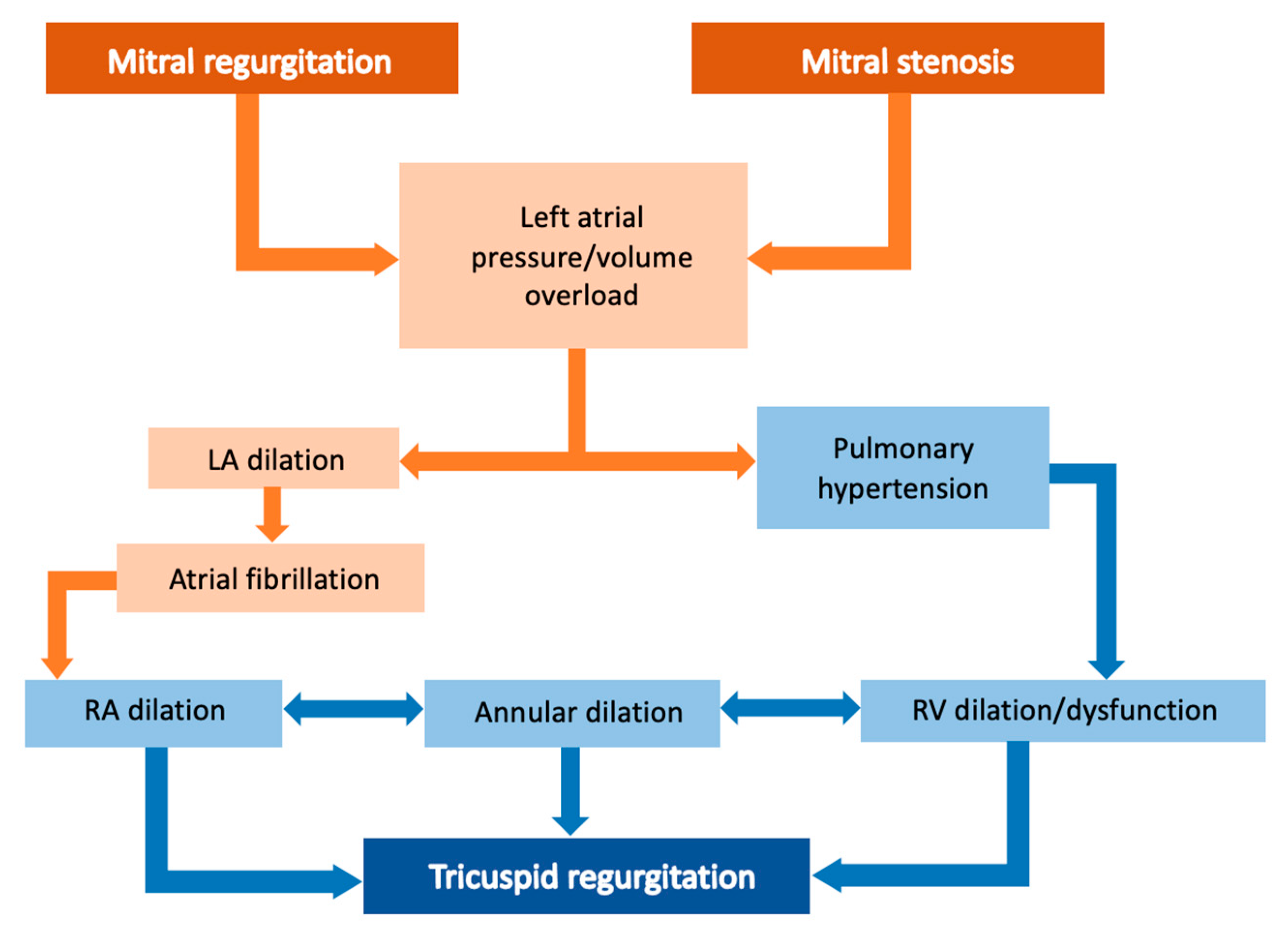 Jcm 12 03454 g002 Jcm 12 03454 g002