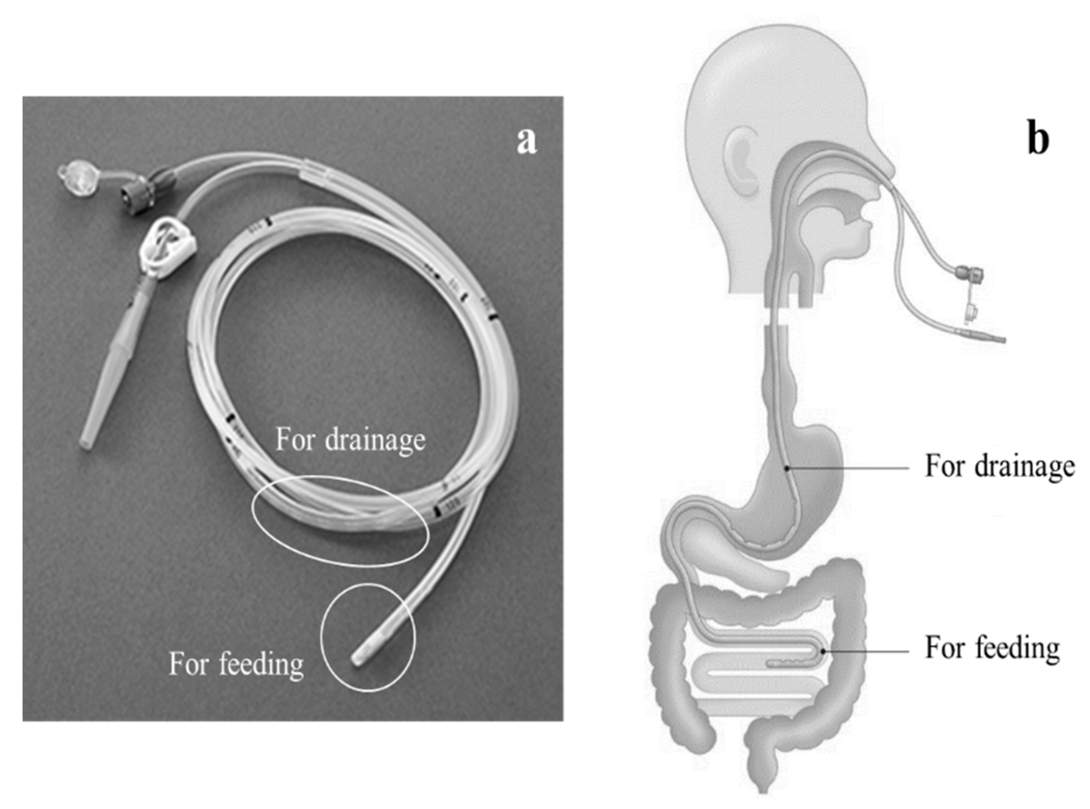 Jcm 12 03495 g001 Jcm 12 03495 g001