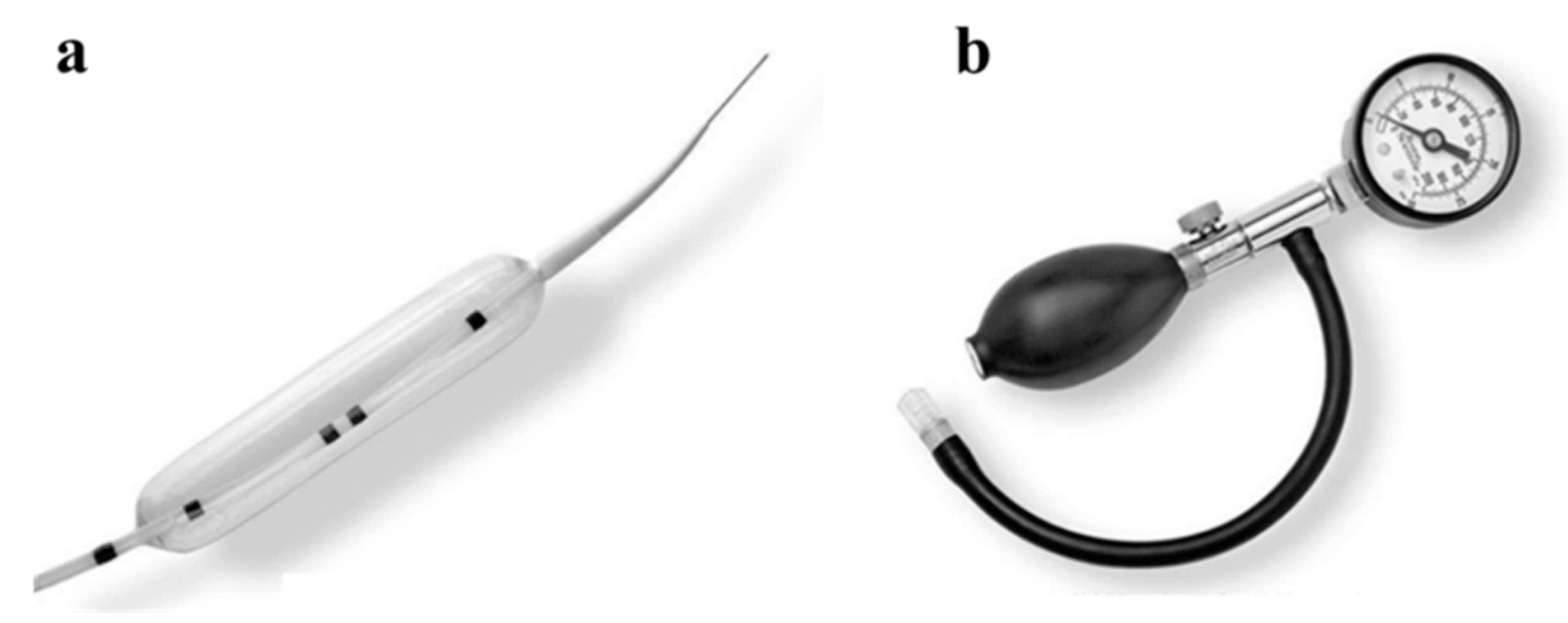 Jcm 12 03495 g003 Jcm 12 03495 g003