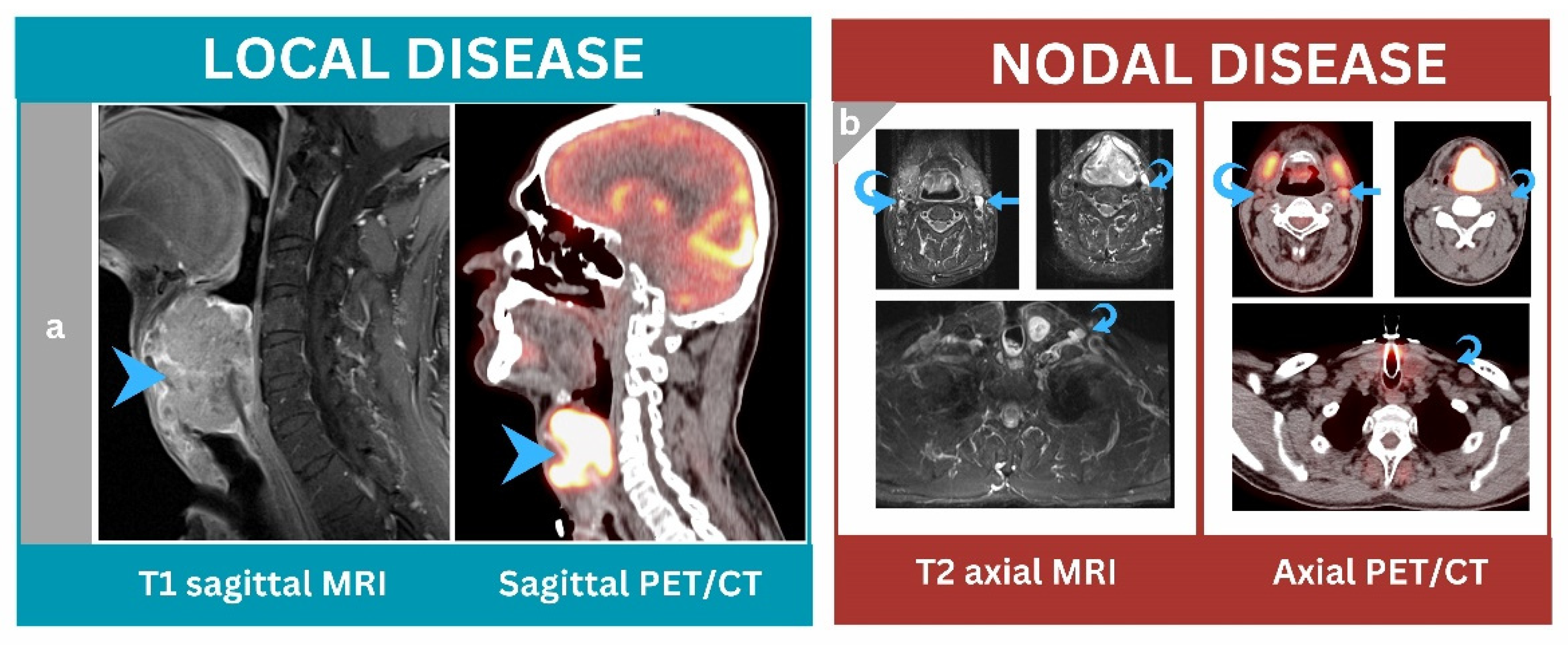 Jcm 12 03514 g002 Jcm 12 03514 g002