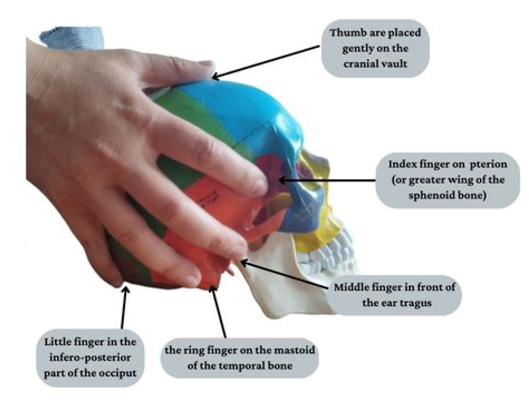 Jcm 12 03528 g004 Jcm 12 03528 g004