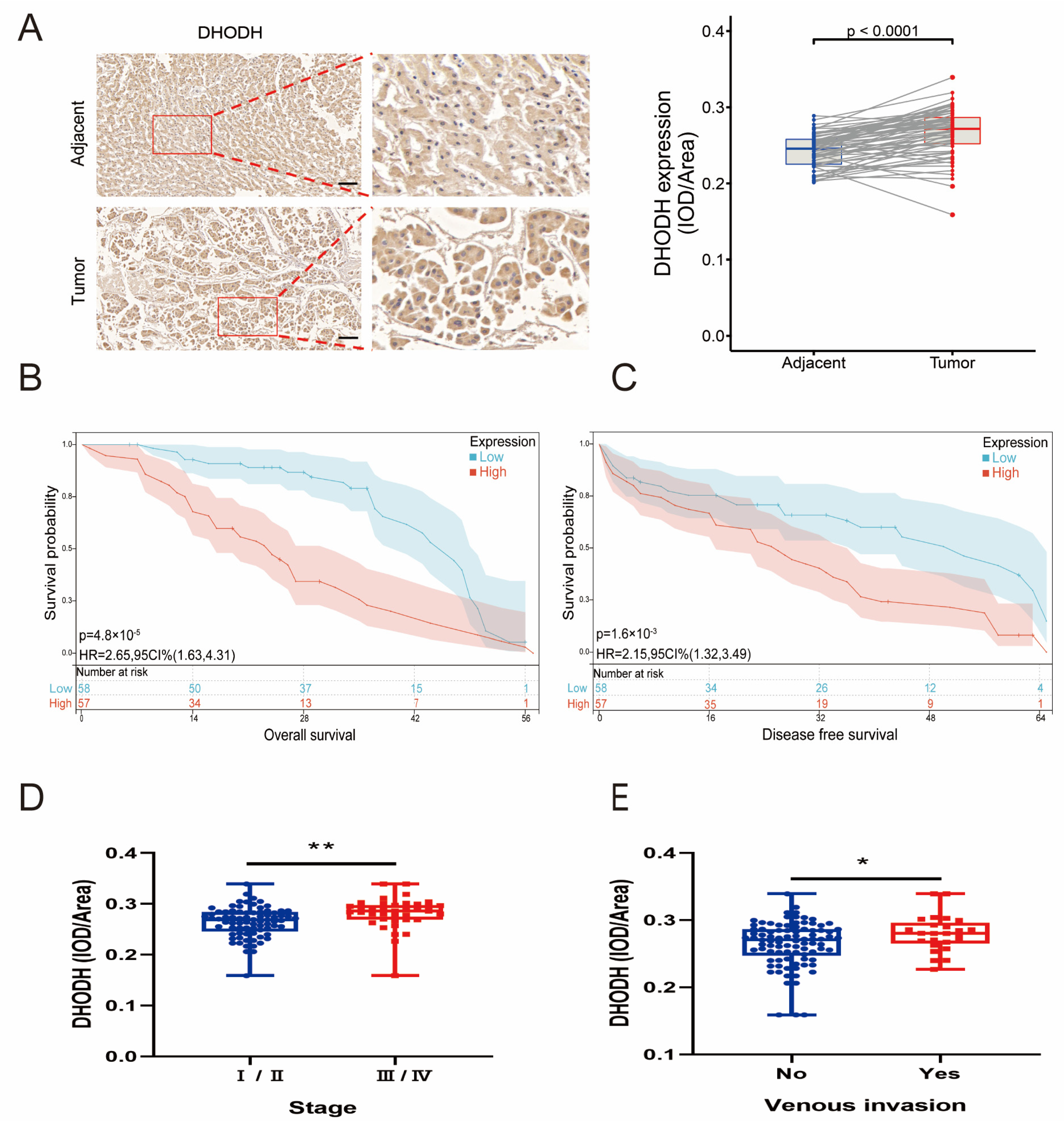 Jcm 12 03552 g002 Jcm 12 03552 g002