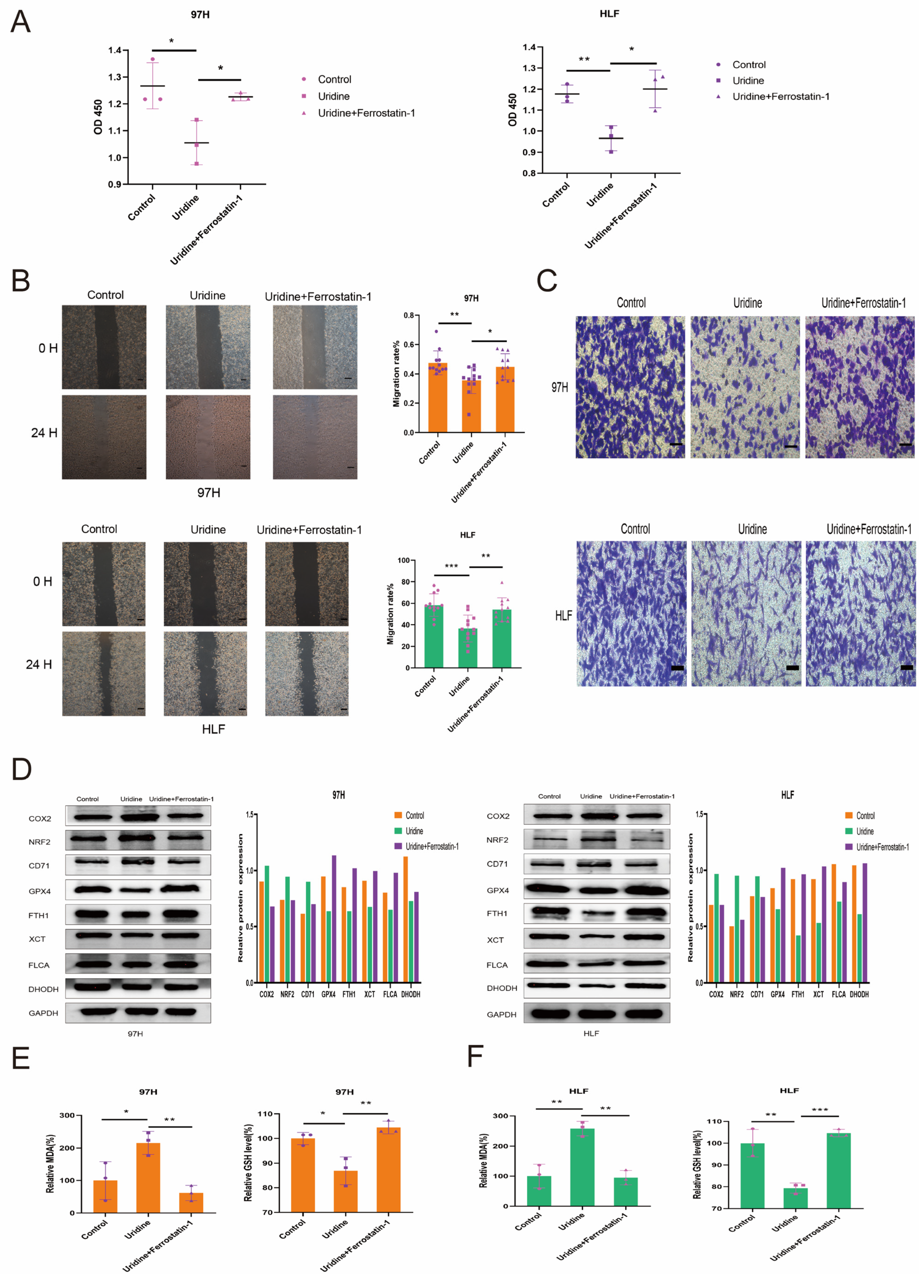 Jcm 12 03552 g006 Jcm 12 03552 g006