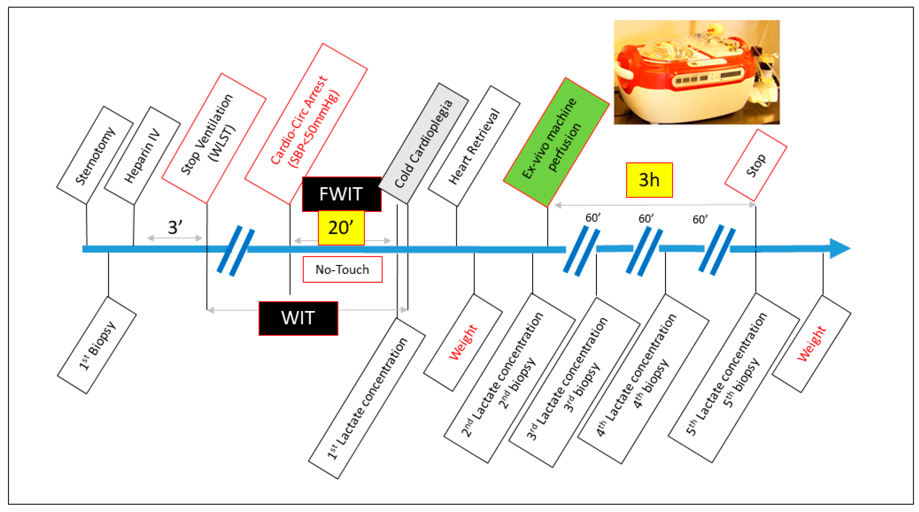 Jcm 12 03569 g001 Jcm 12 03569 g001