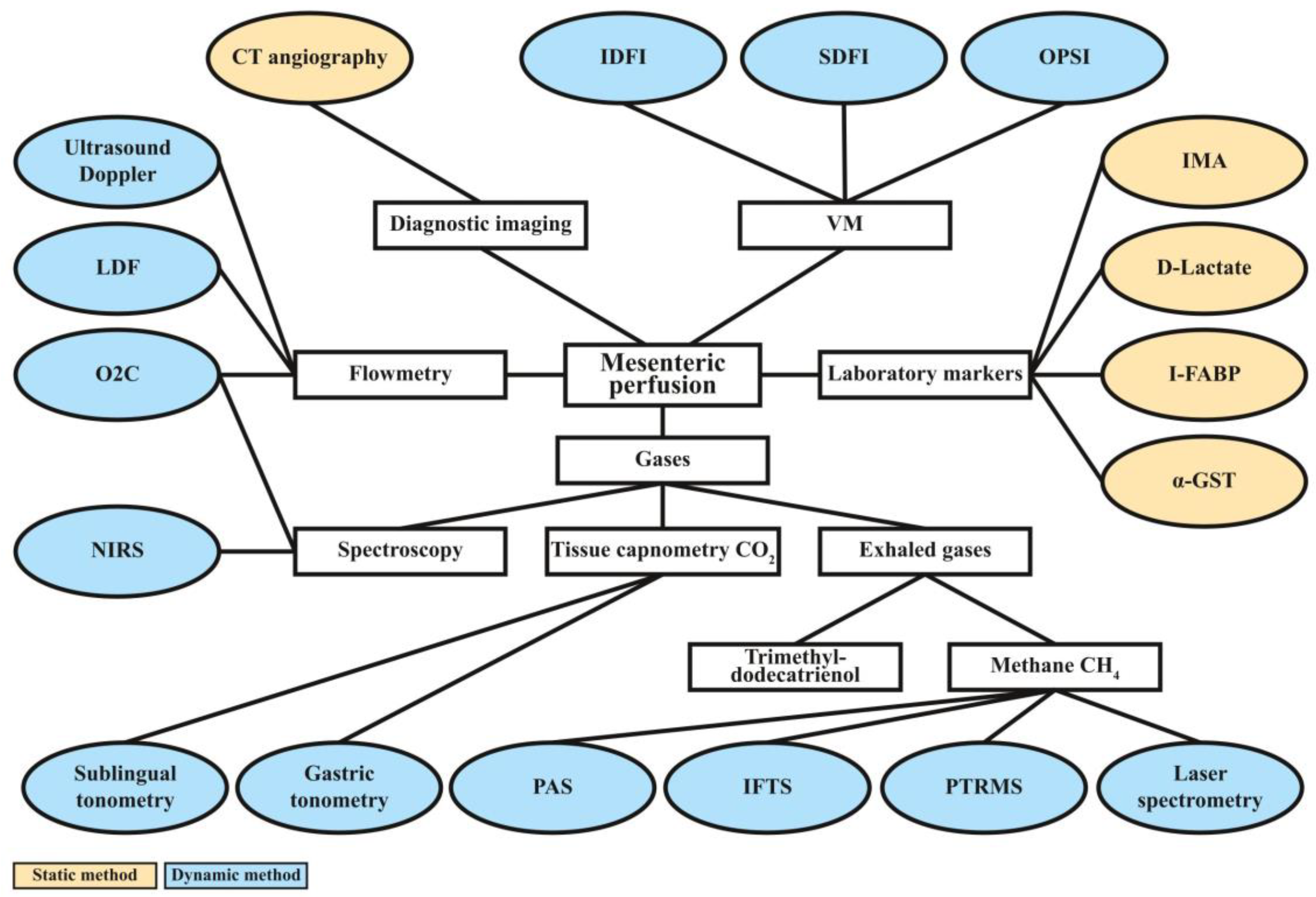 Jcm 12 03571 g002 Jcm 12 03571 g002