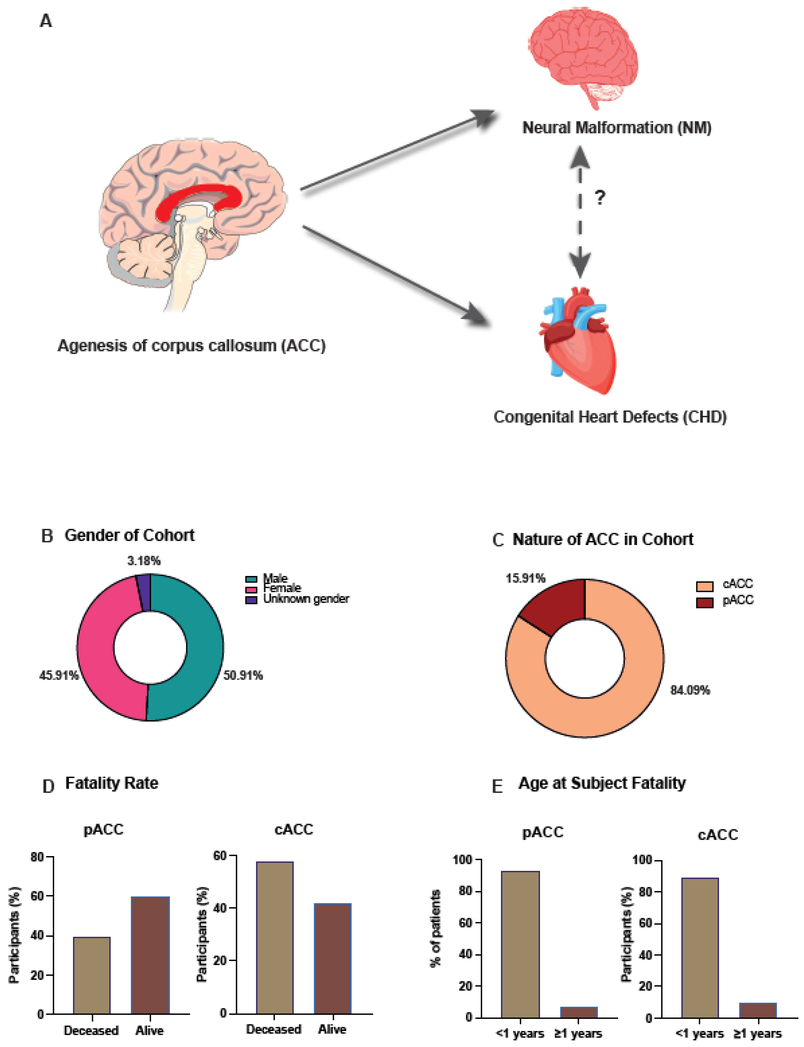 Jcm 12 03623 g001 Jcm 12 03623 g001