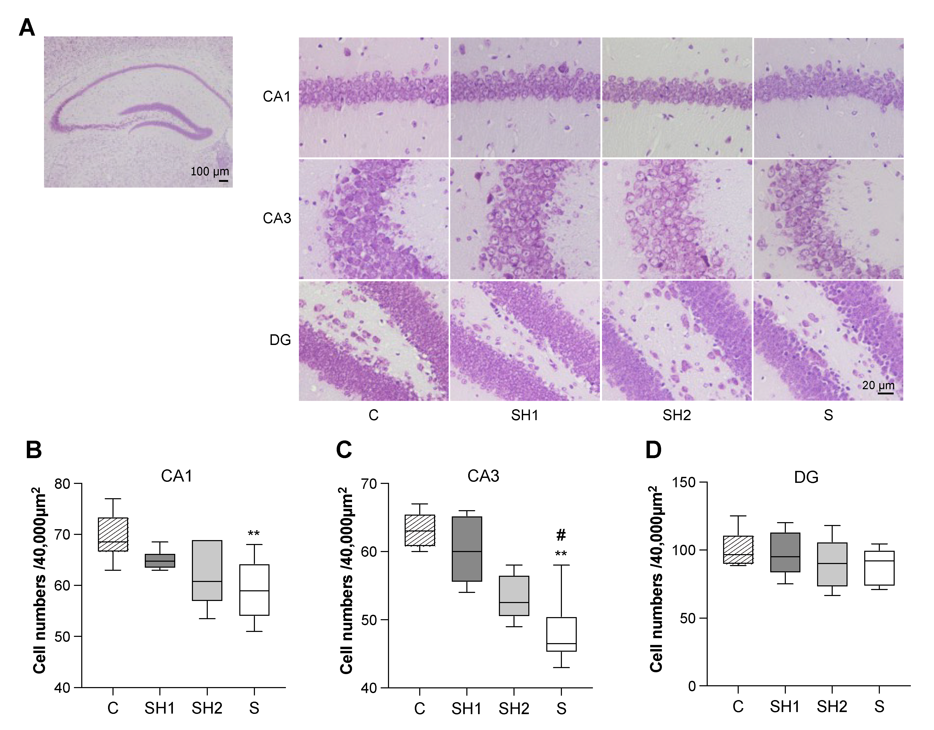 Jcm 12 03642 g004 Jcm 12 03642 g004