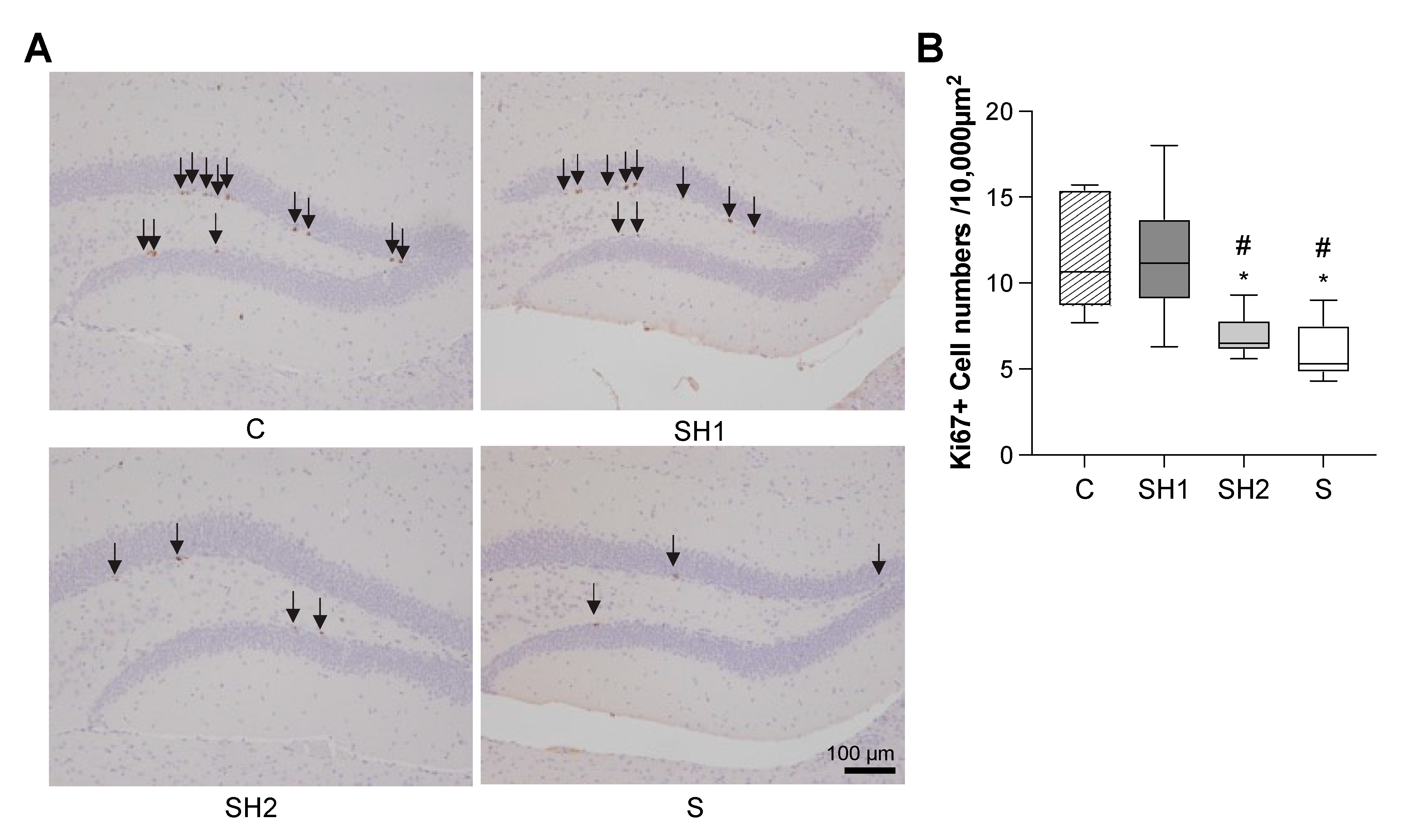 Jcm 12 03642 g005 Jcm 12 03642 g005