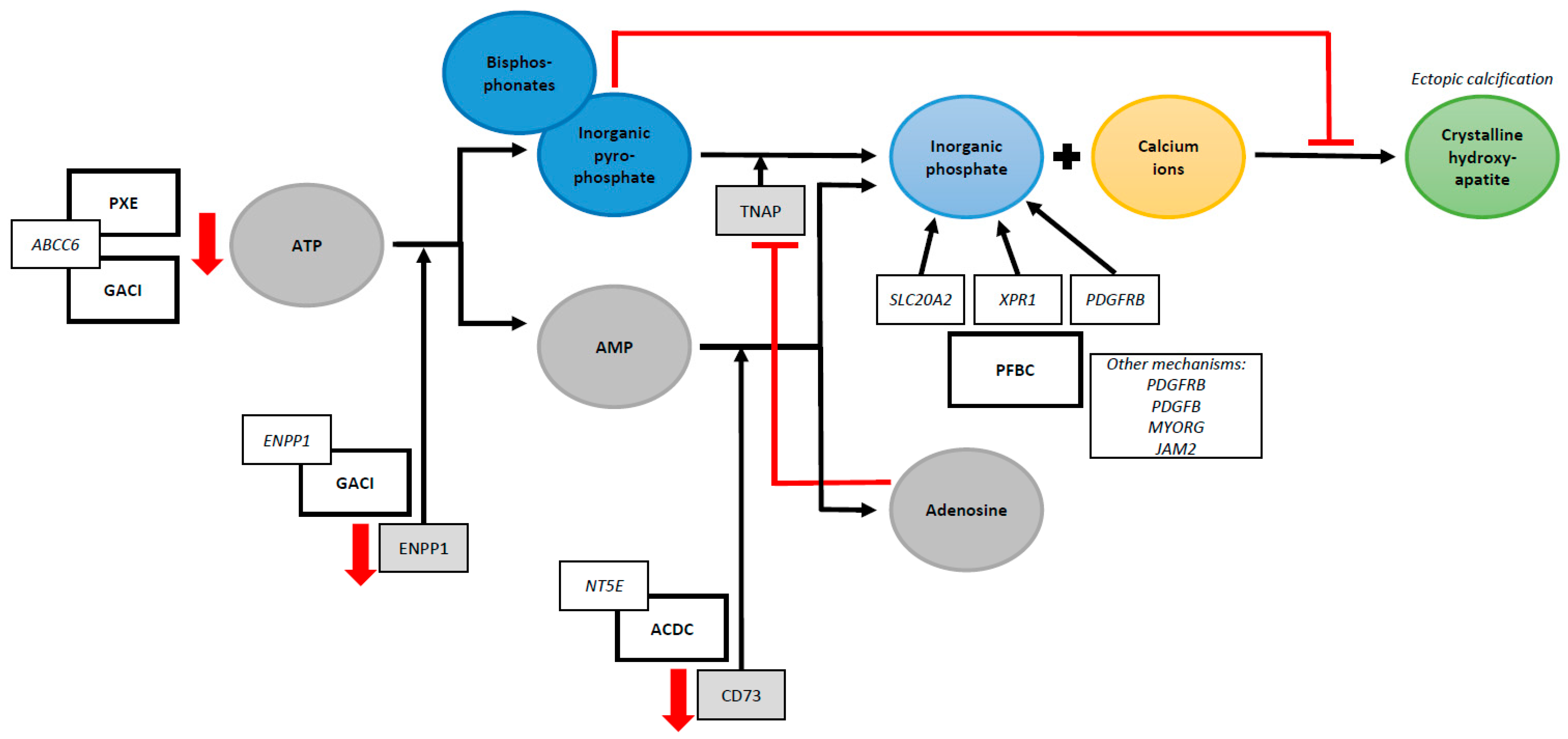 Jcm 12 03687 g001 Jcm 12 03687 g001