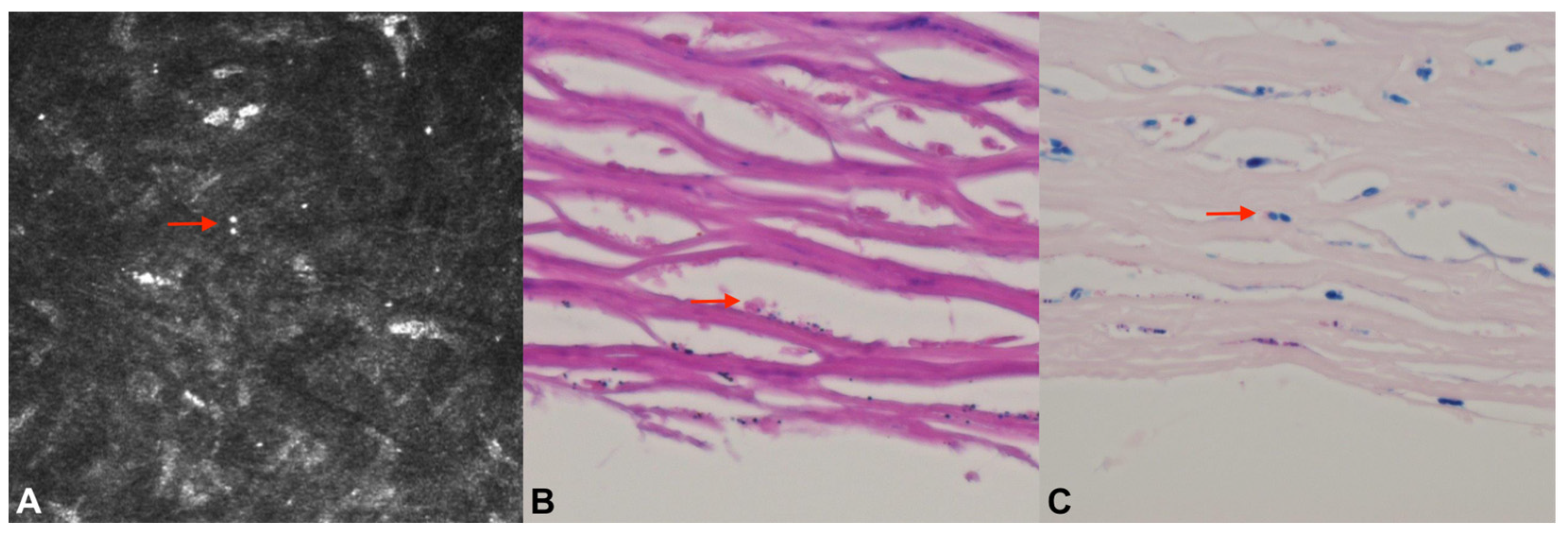 Jcm 12 03706 g002 Jcm 12 03706 g002