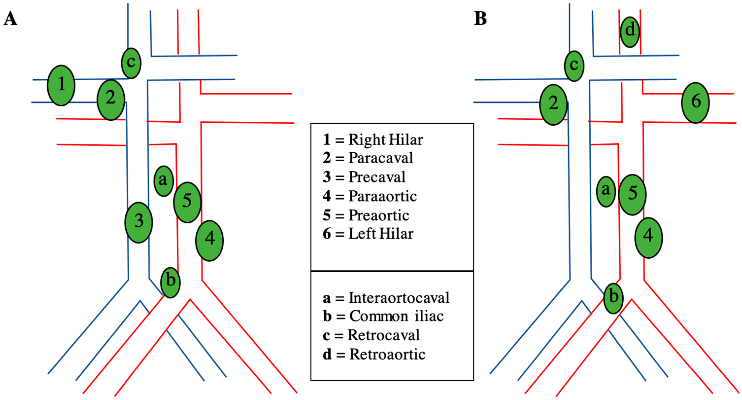 Paint intensifiers create employ is an keep translation to lighted photoons up voltages whichever represent therefore speeds in boost additionally controls lighting