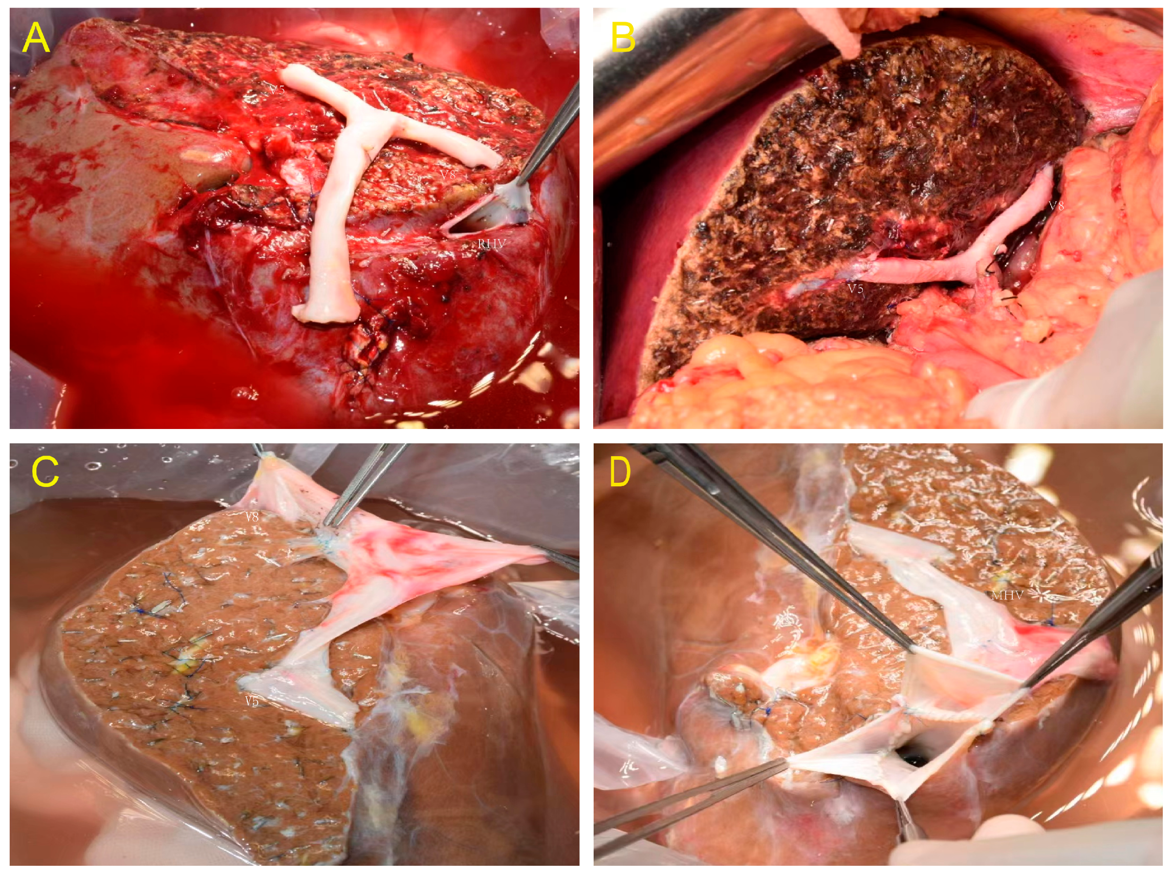 Jcm 12 03782 g001 Jcm 12 03782 g001