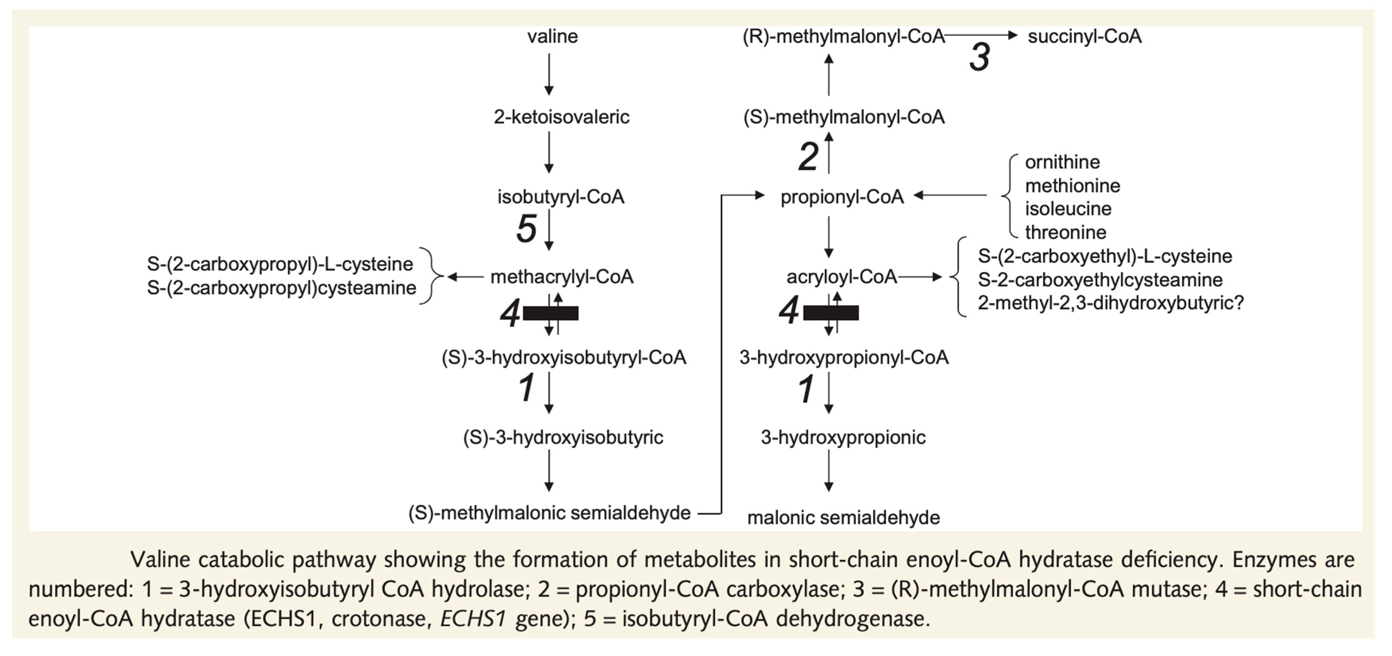 Jcm 12 03797 g008 550